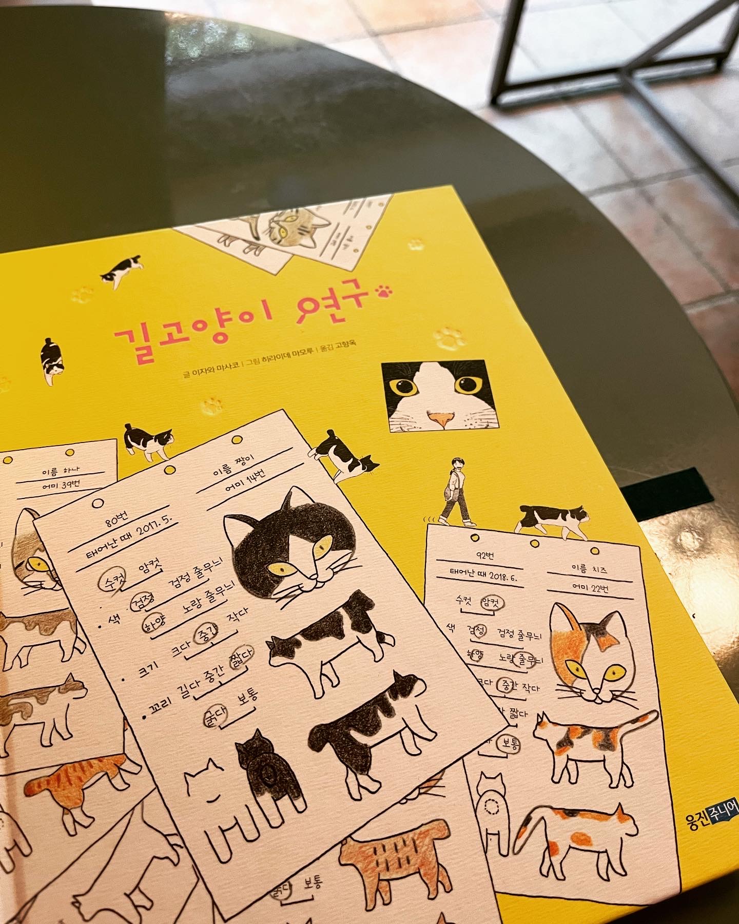 고양이 유인 잡화점