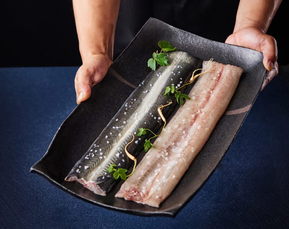 해성장어