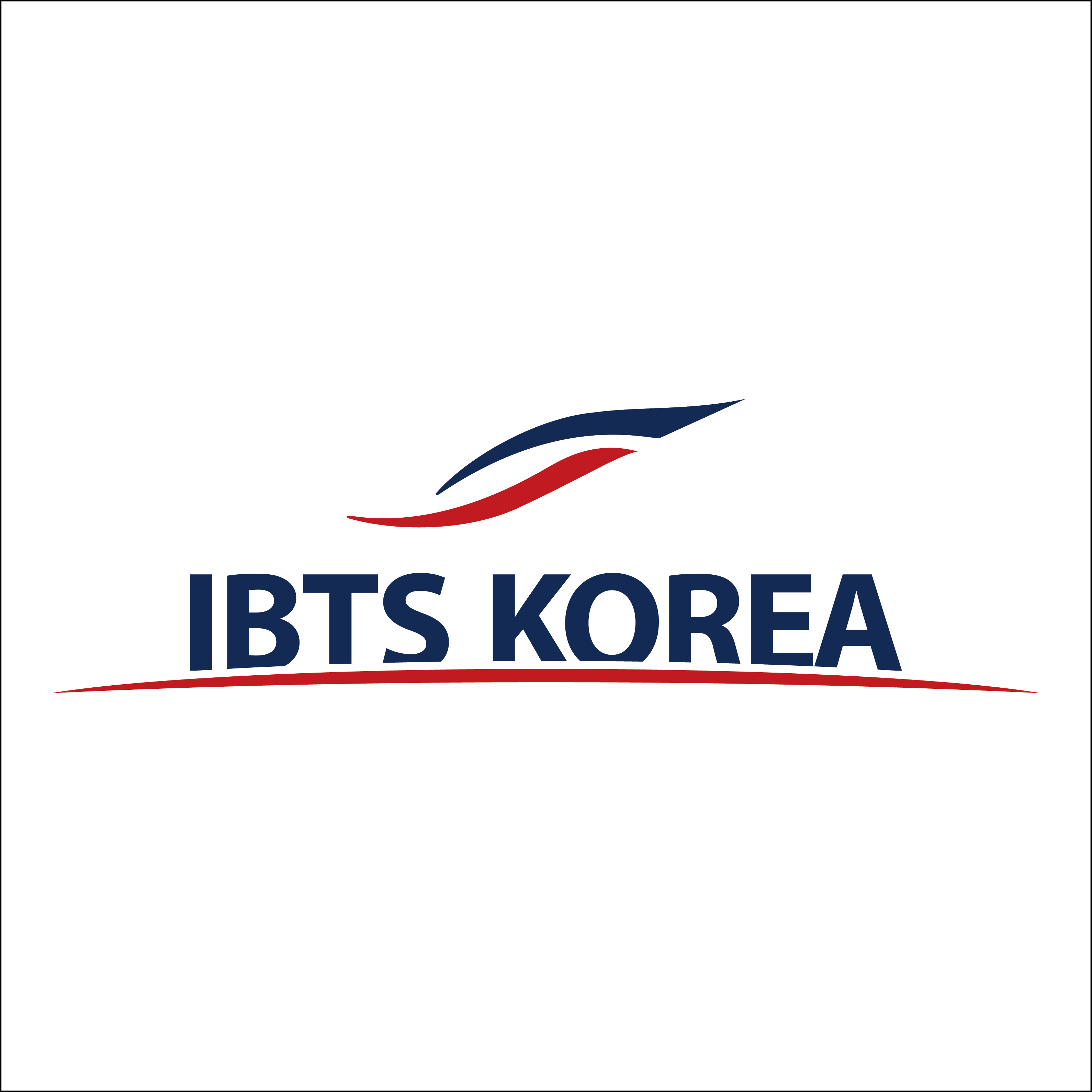 아이비티에스코리아