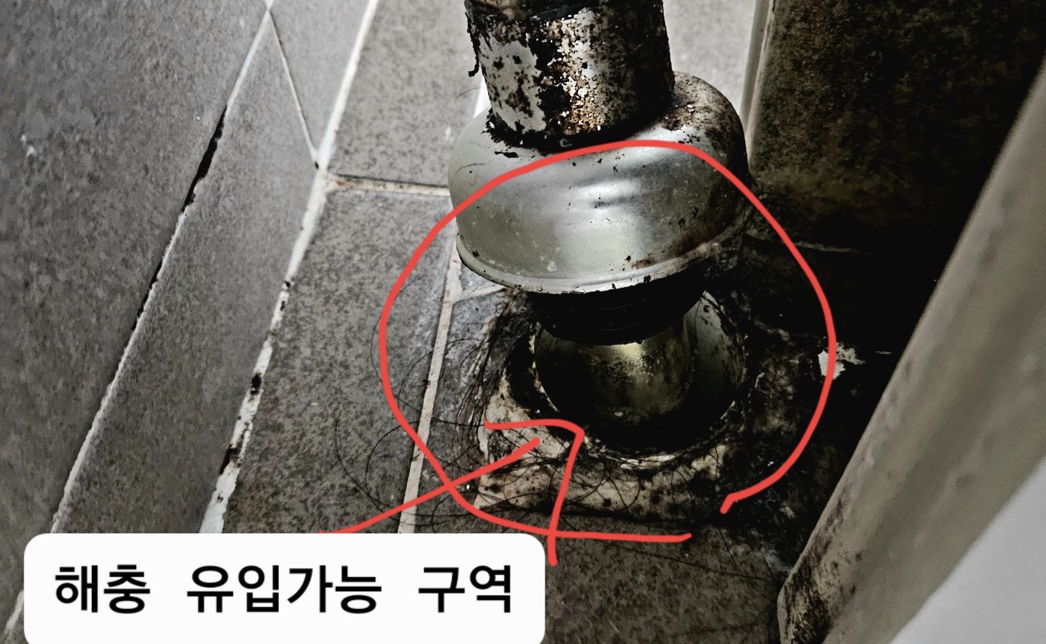 에스디원