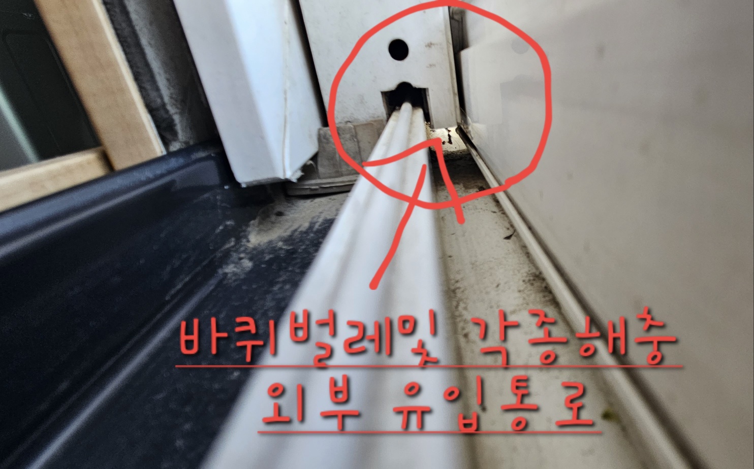 에스디원