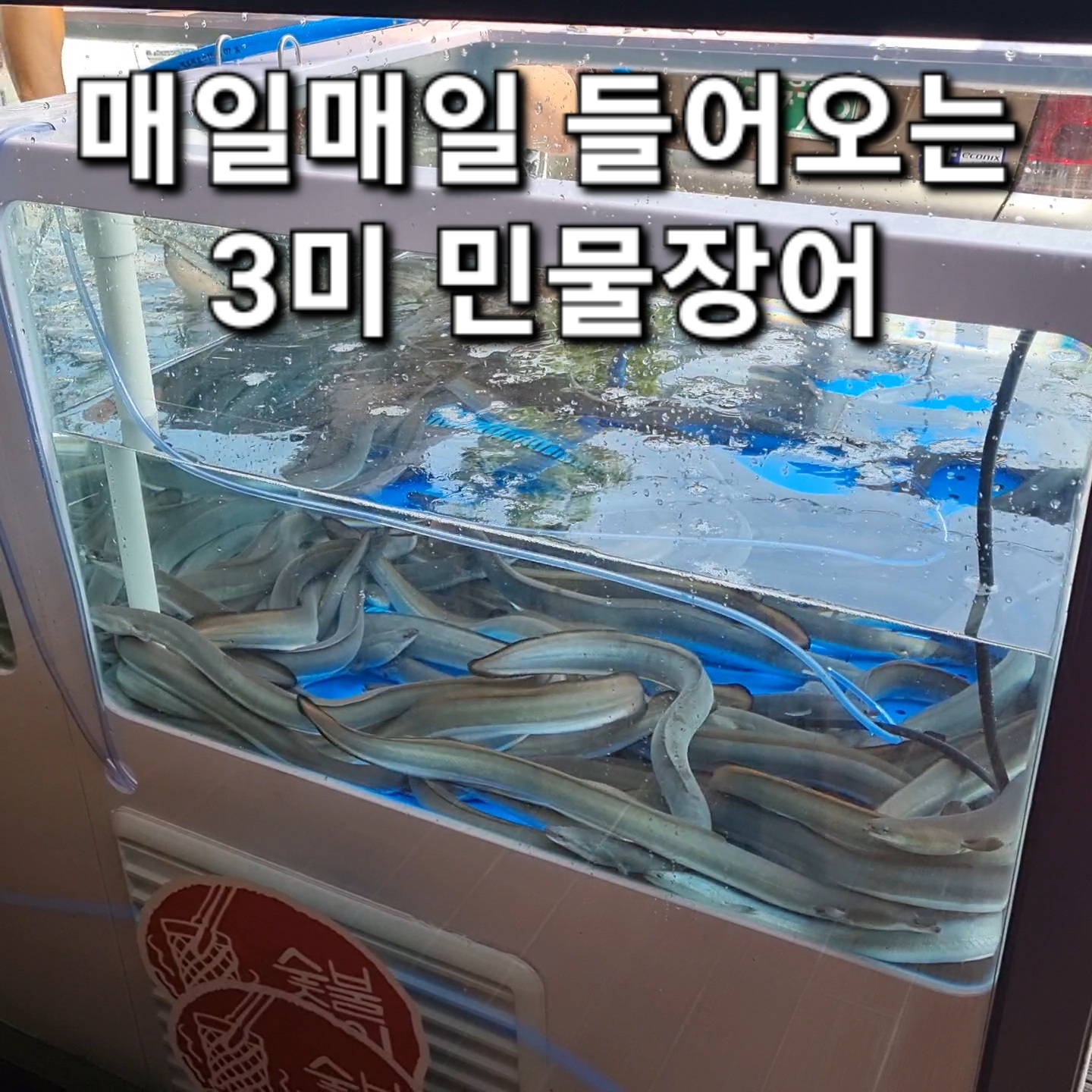 동암숯불민물장어