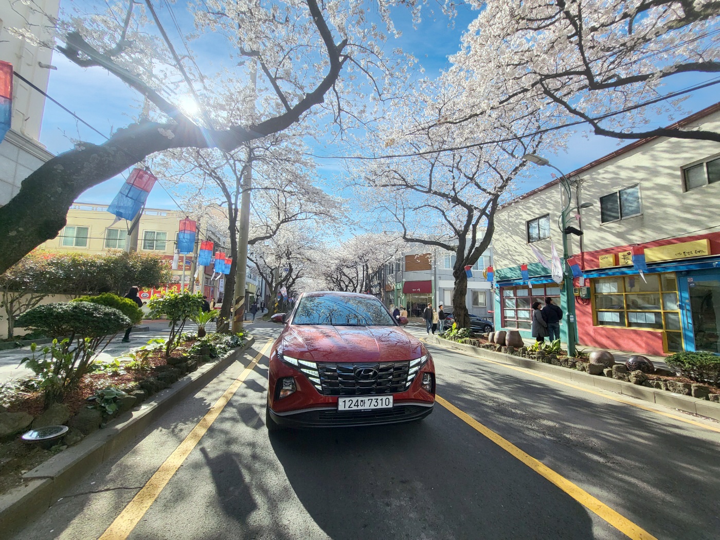 제주드림렌트카 대표 이미지