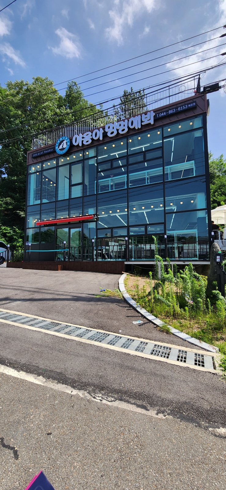 야옹아멍멍해봐 세종점