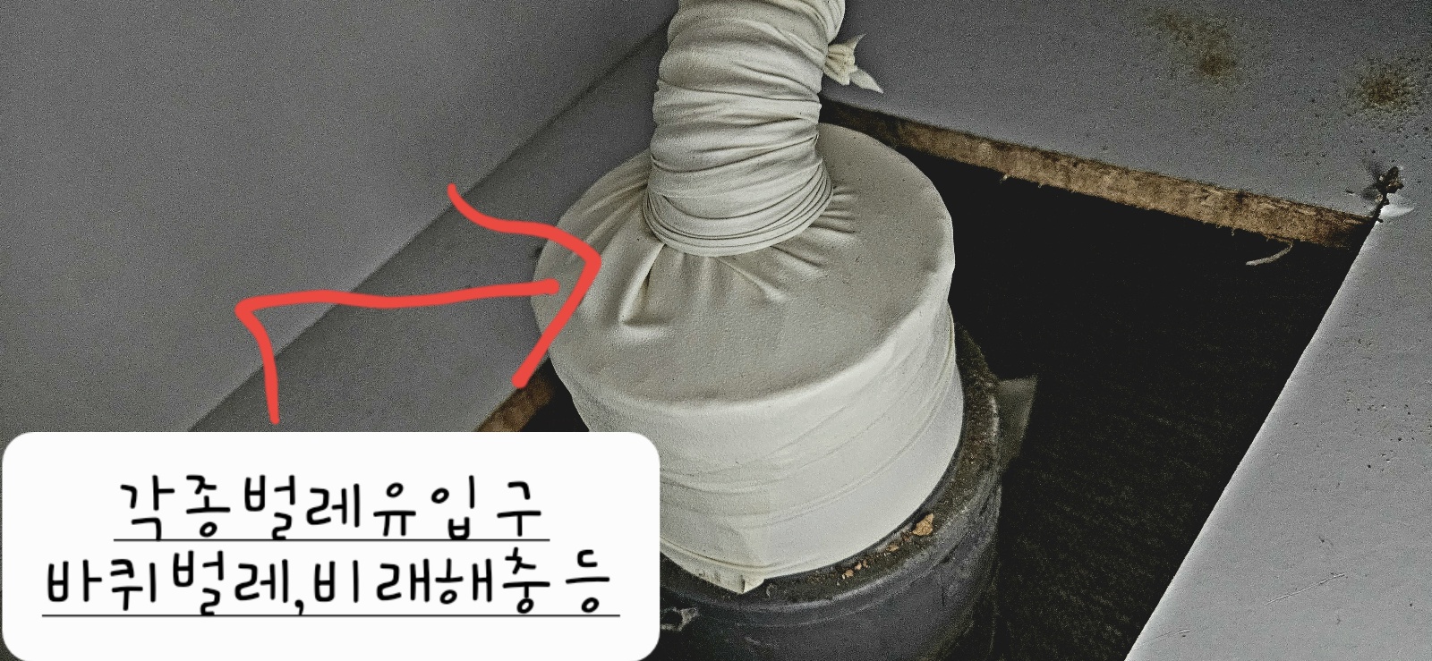 에스디원