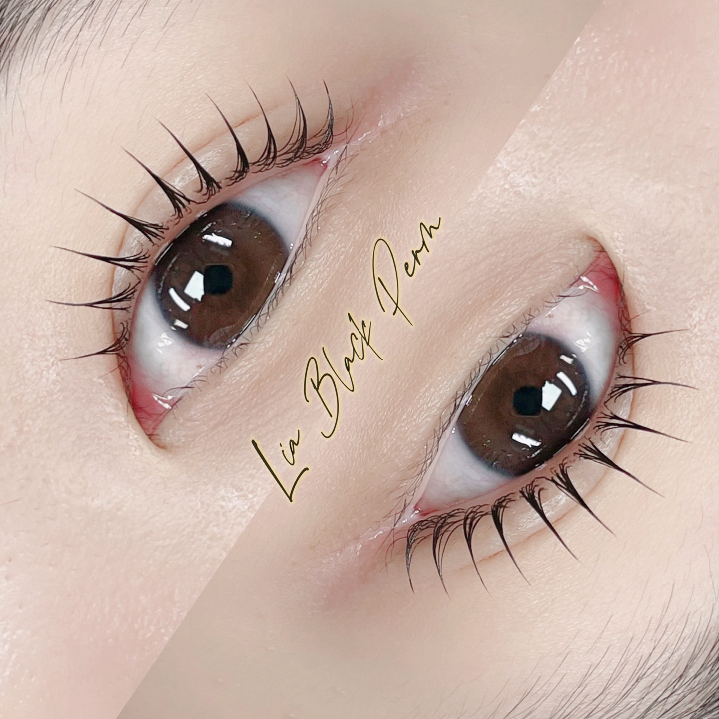 리아브로우 속눈썹펌&눈썹