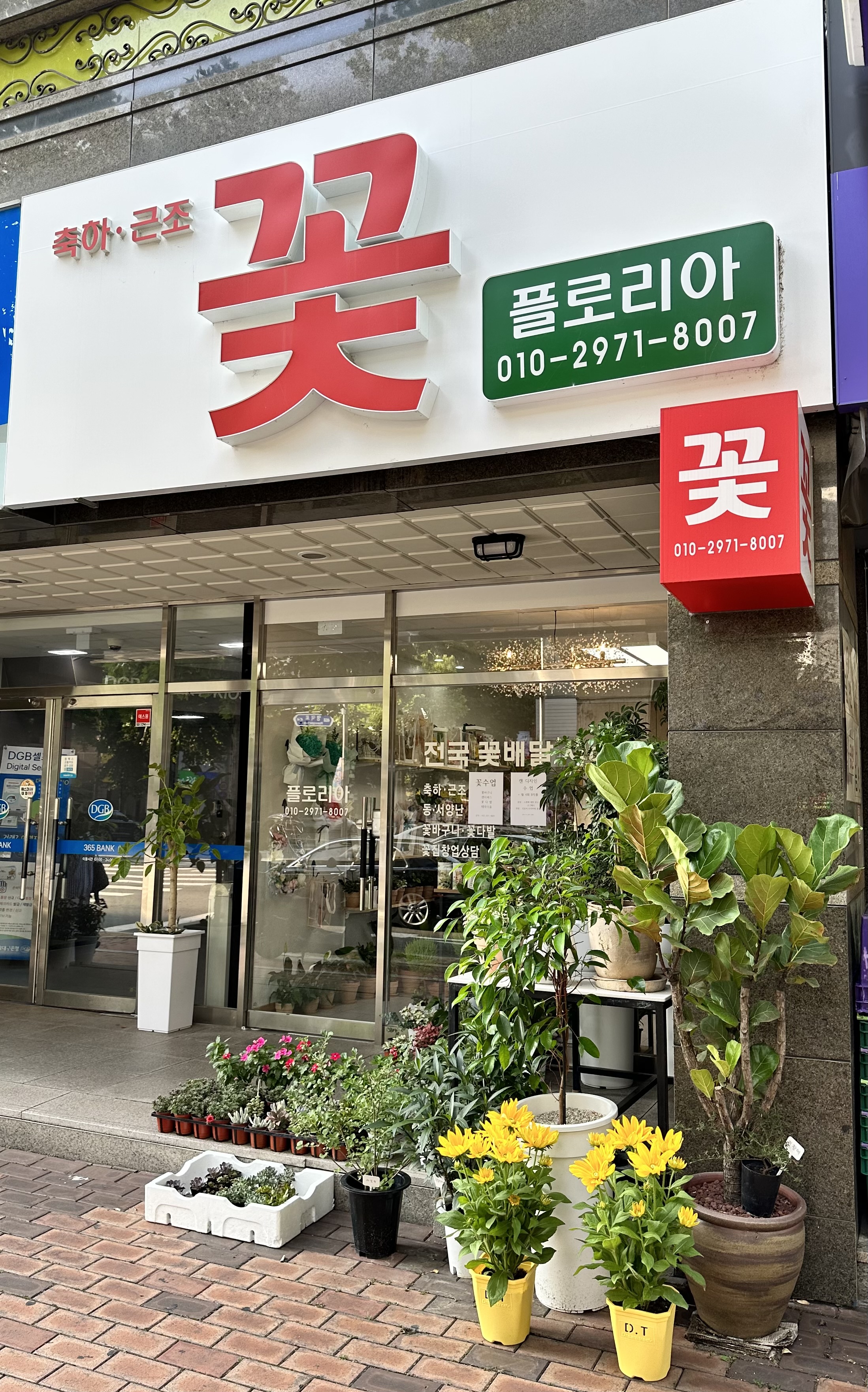 플로리아