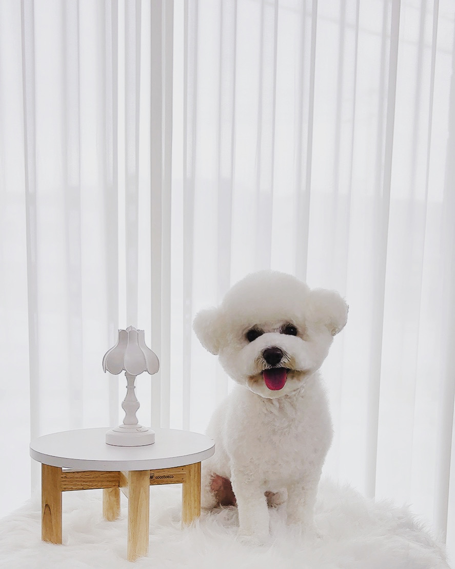 MOMOLAND 대표 이미지