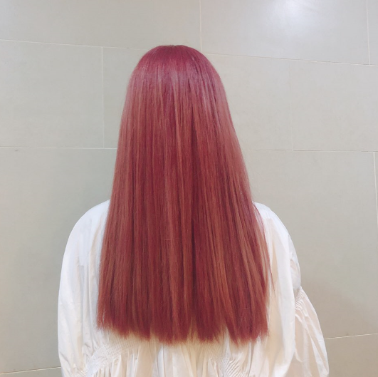 플랜
