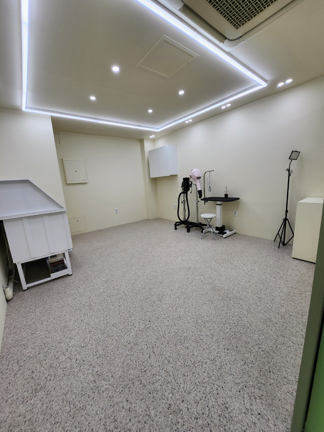 어느날 그루밍 대표 이미지