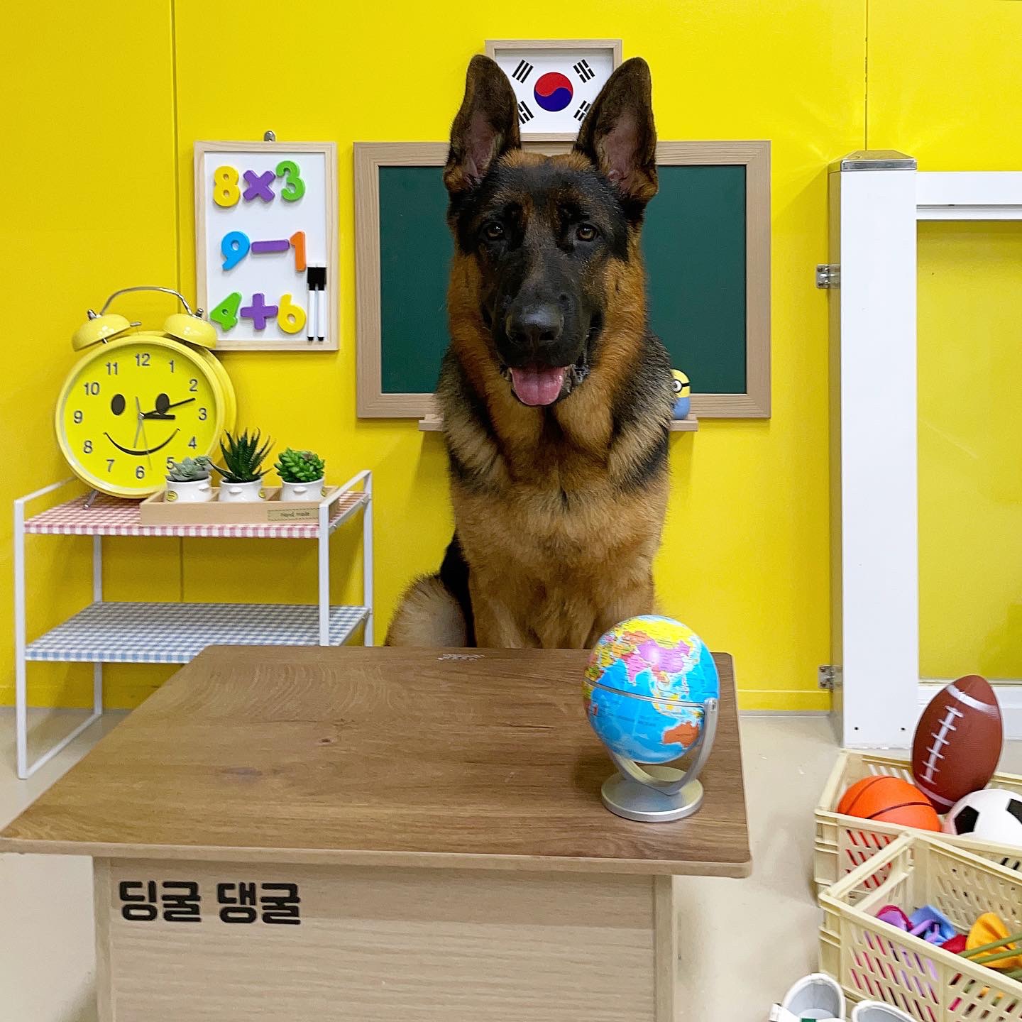 딩굴댕굴 대표 이미지