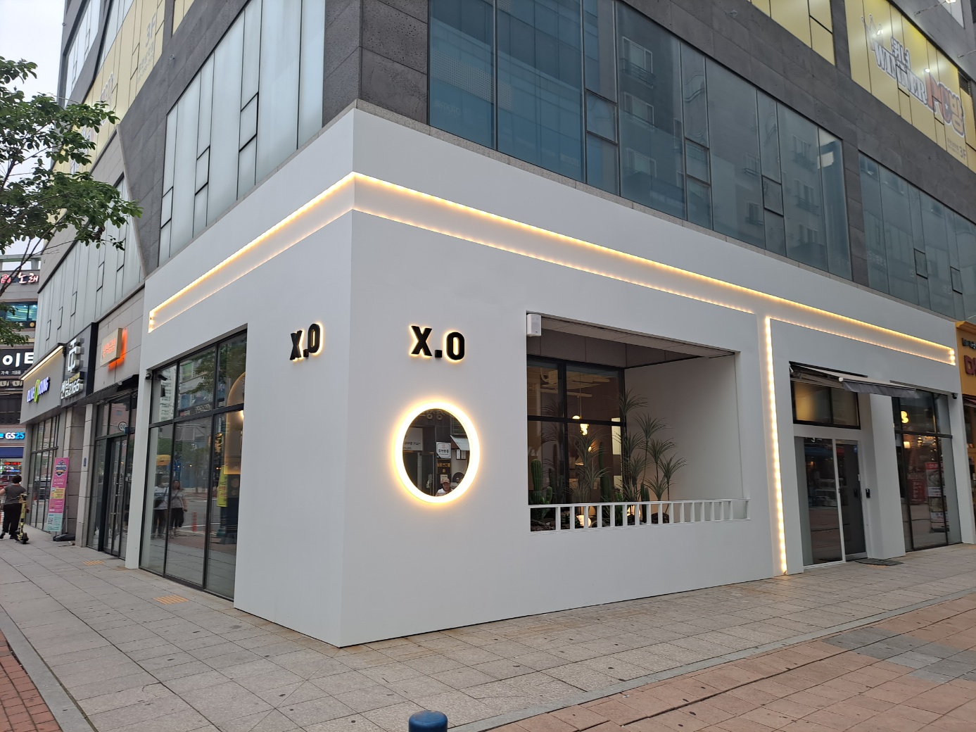 엑스오