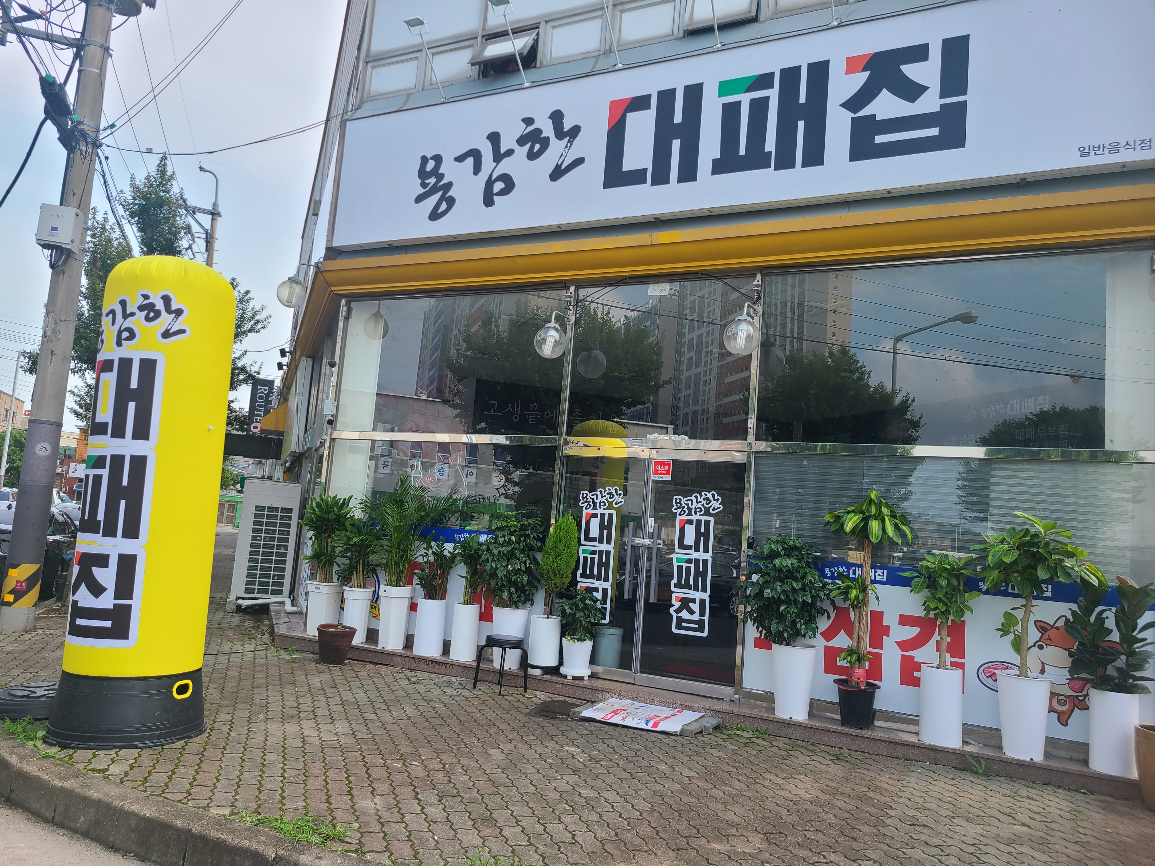 용감한대패집