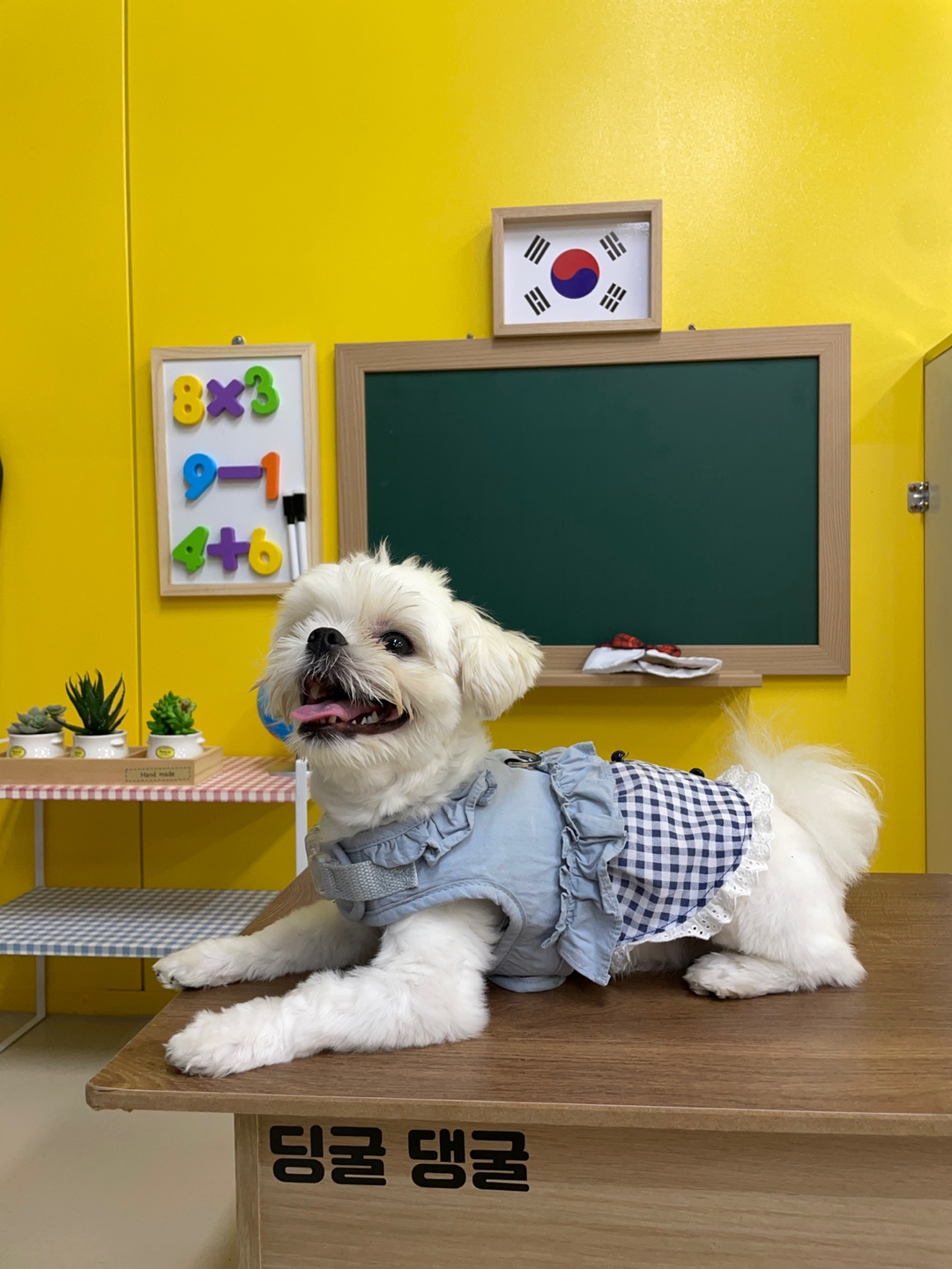 딩굴딩굴 대표 이미지