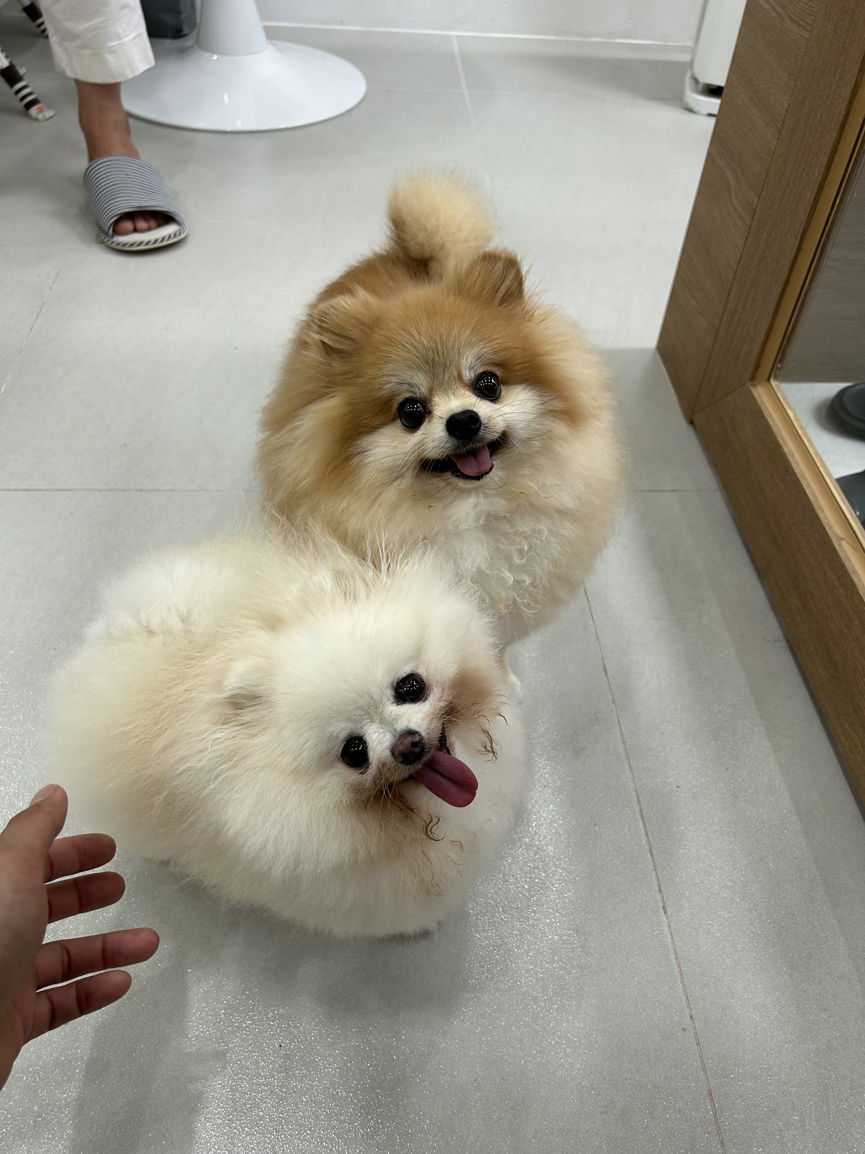 그루밍젤리 대표 이미지
