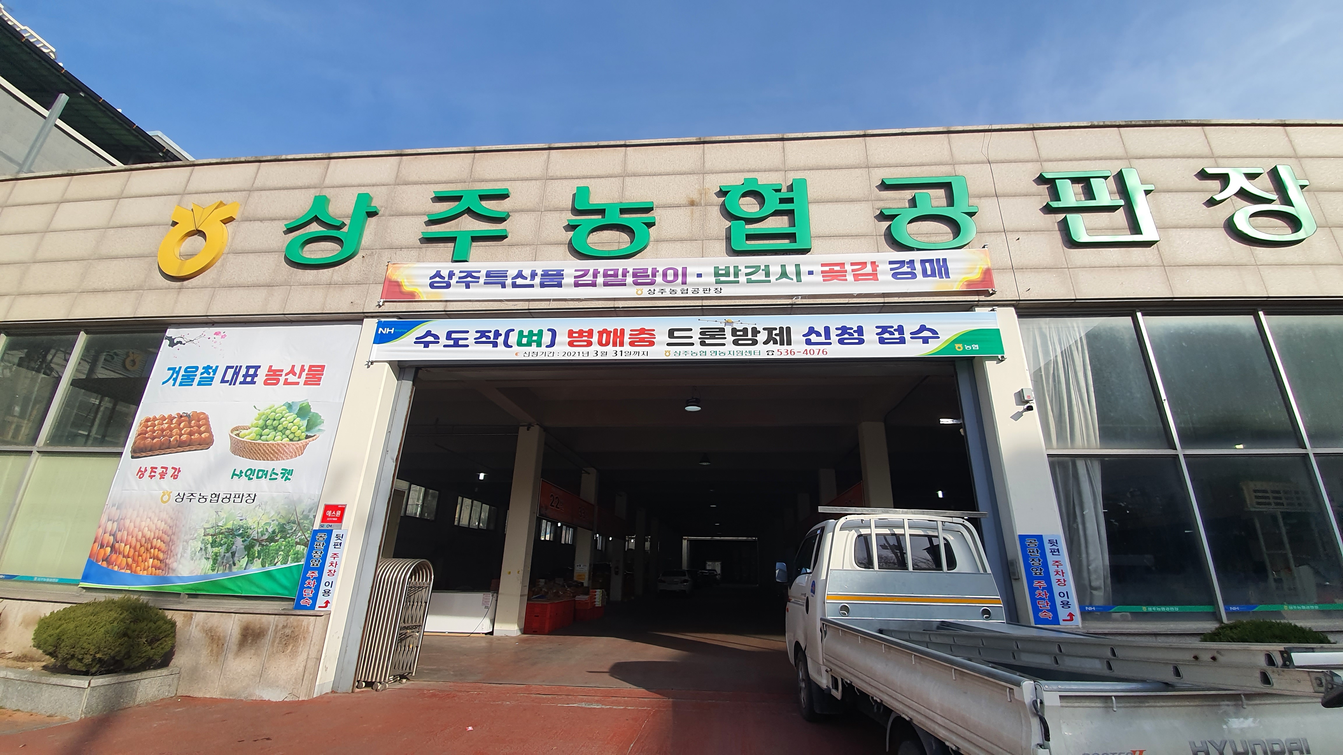 미화미술사