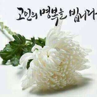 송탄중앙병원장례식장