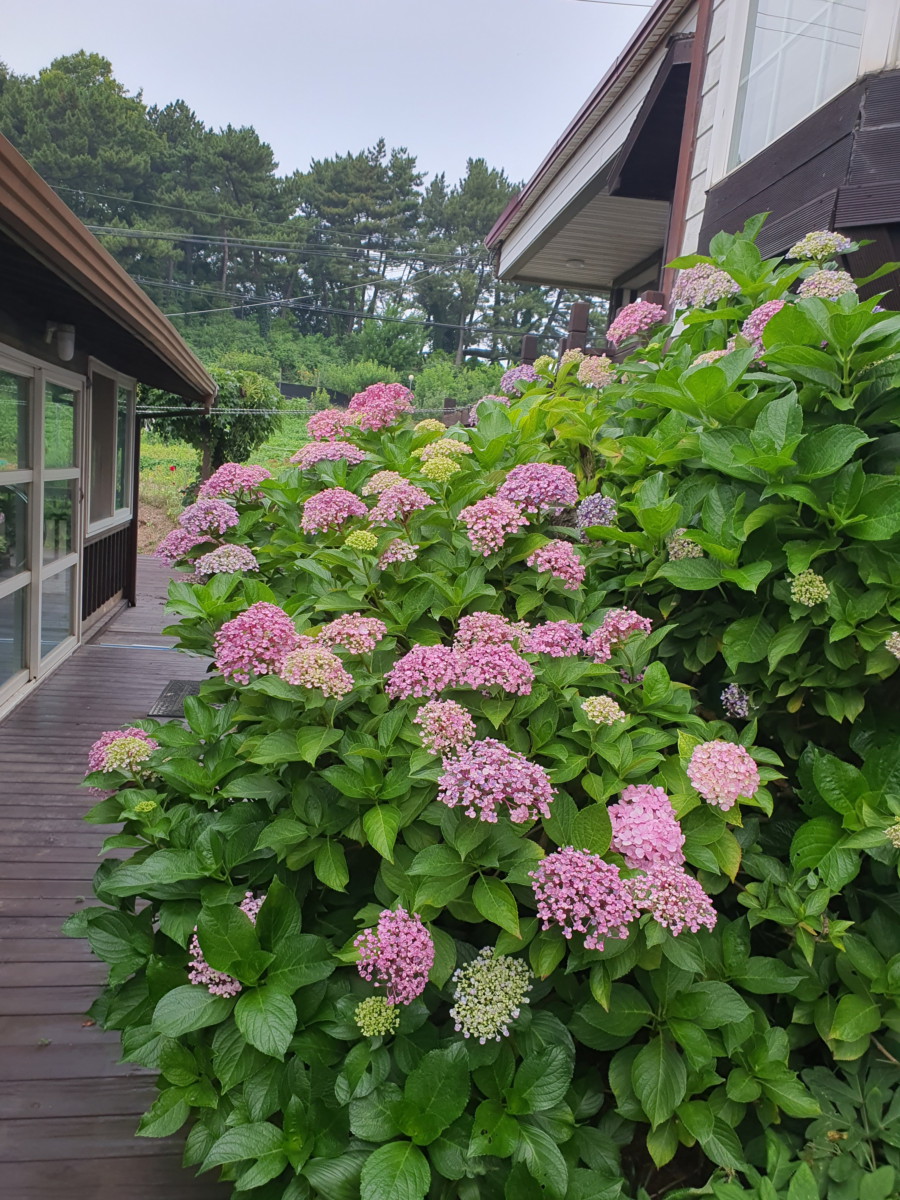 노을따라펜션