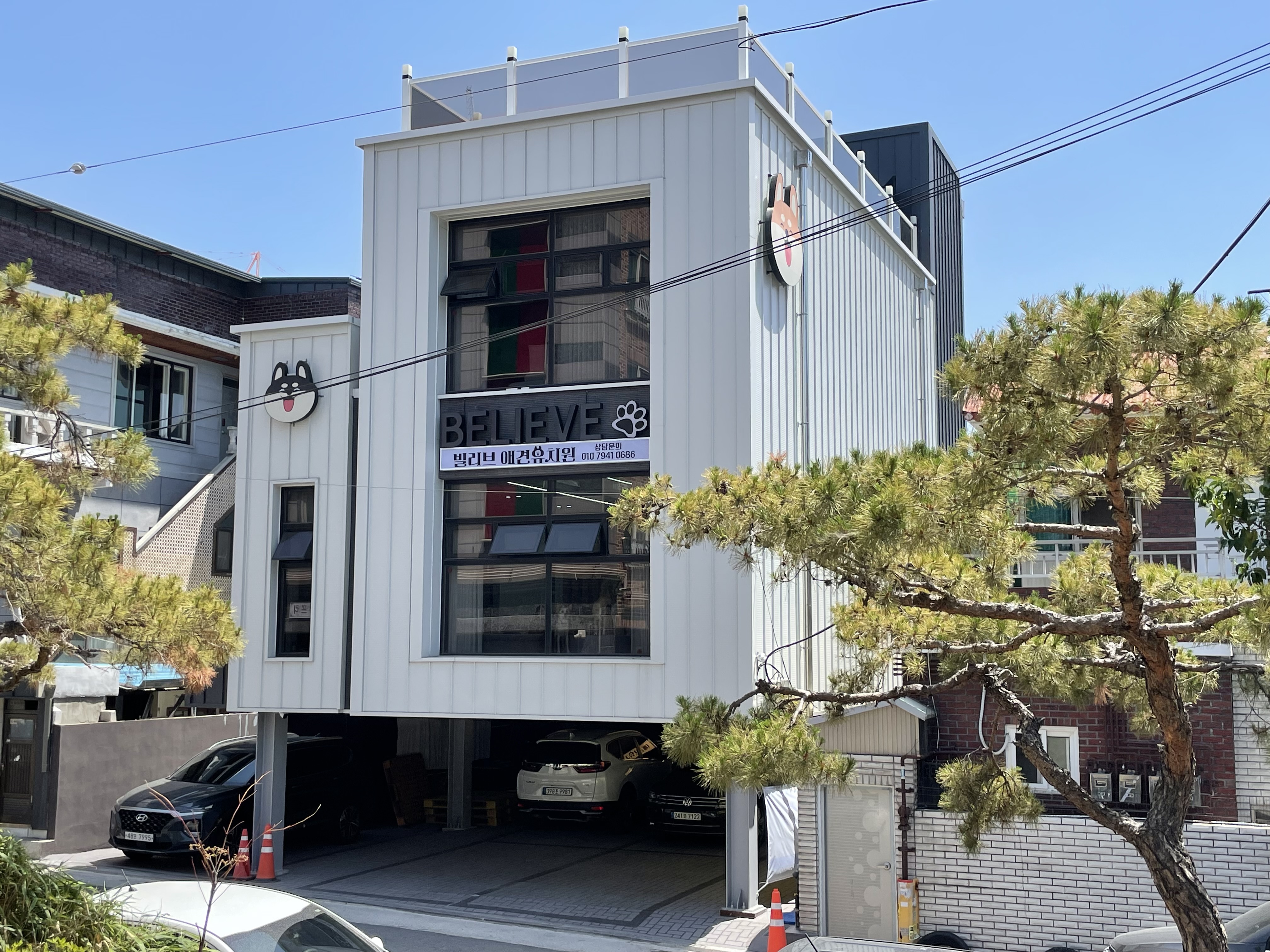 애견용품전문업체 추천 대구 달서구 지역 우수업체 강아지목줄 강아지쿨나시 강아지쿨조끼 빌리브애견유치원