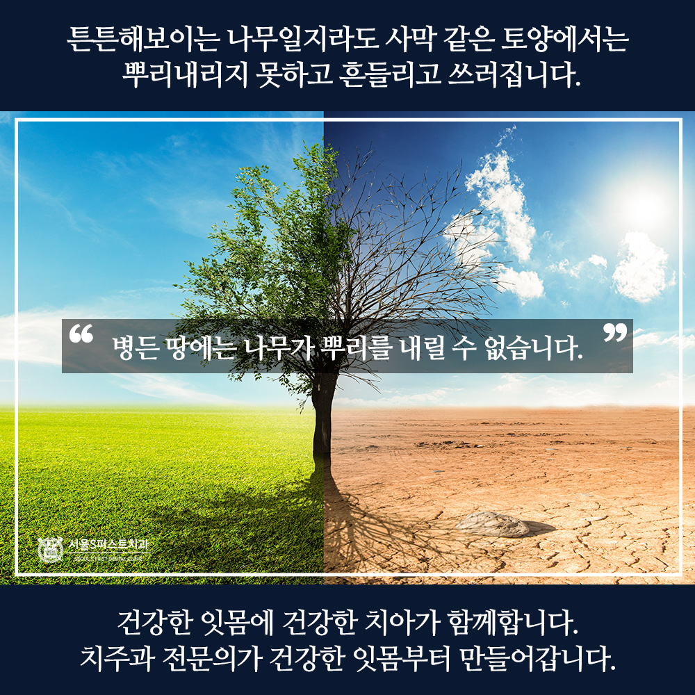 서울에스퍼스트치과의원 성남 대표 이미지