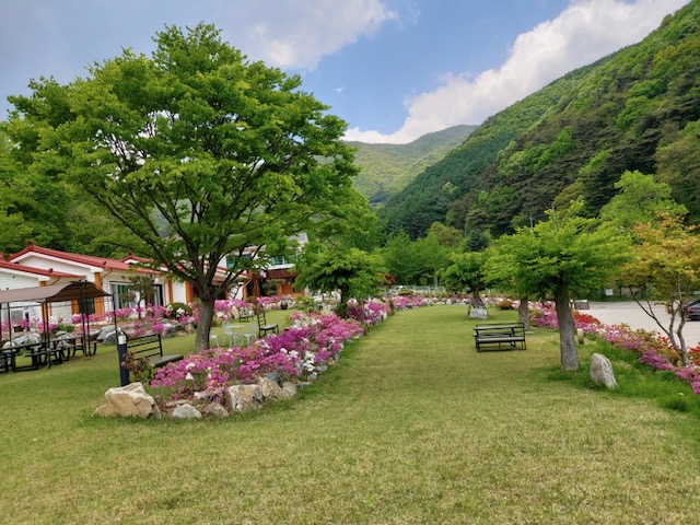 산자락