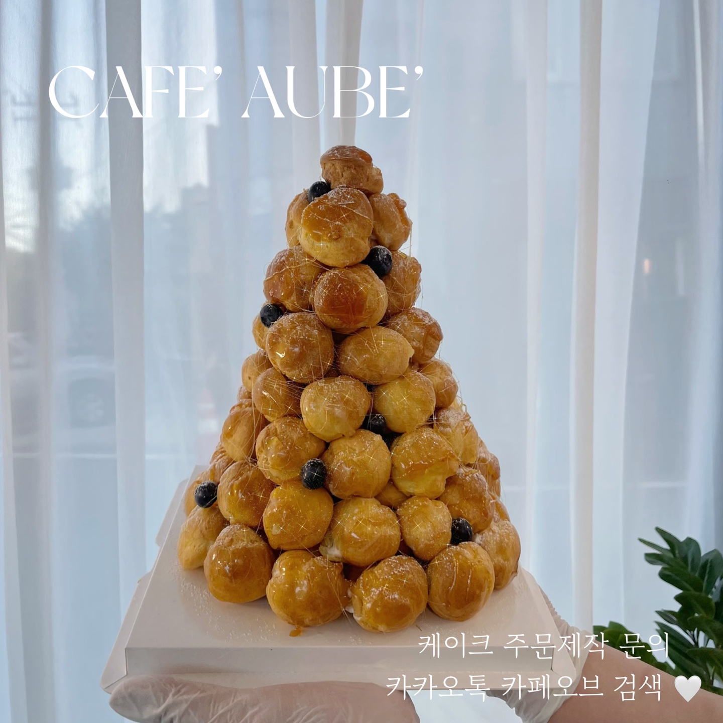 카페 오브