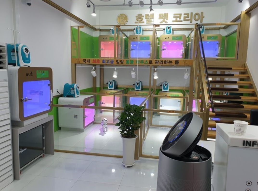 호텔펫코리아 대표 이미지