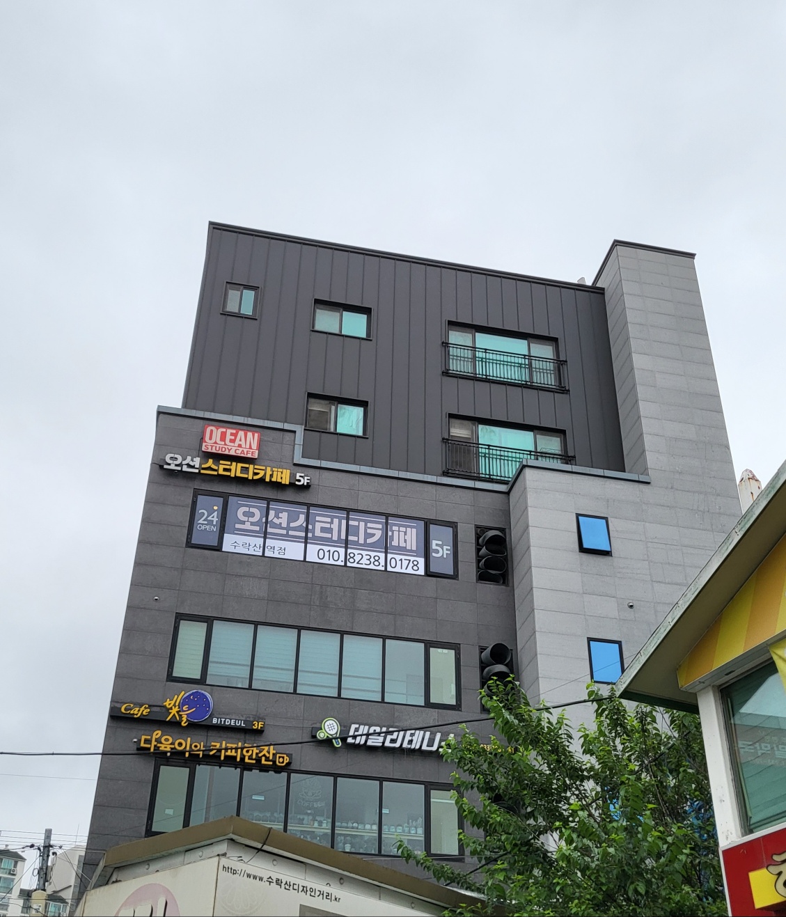 오션스터디카페