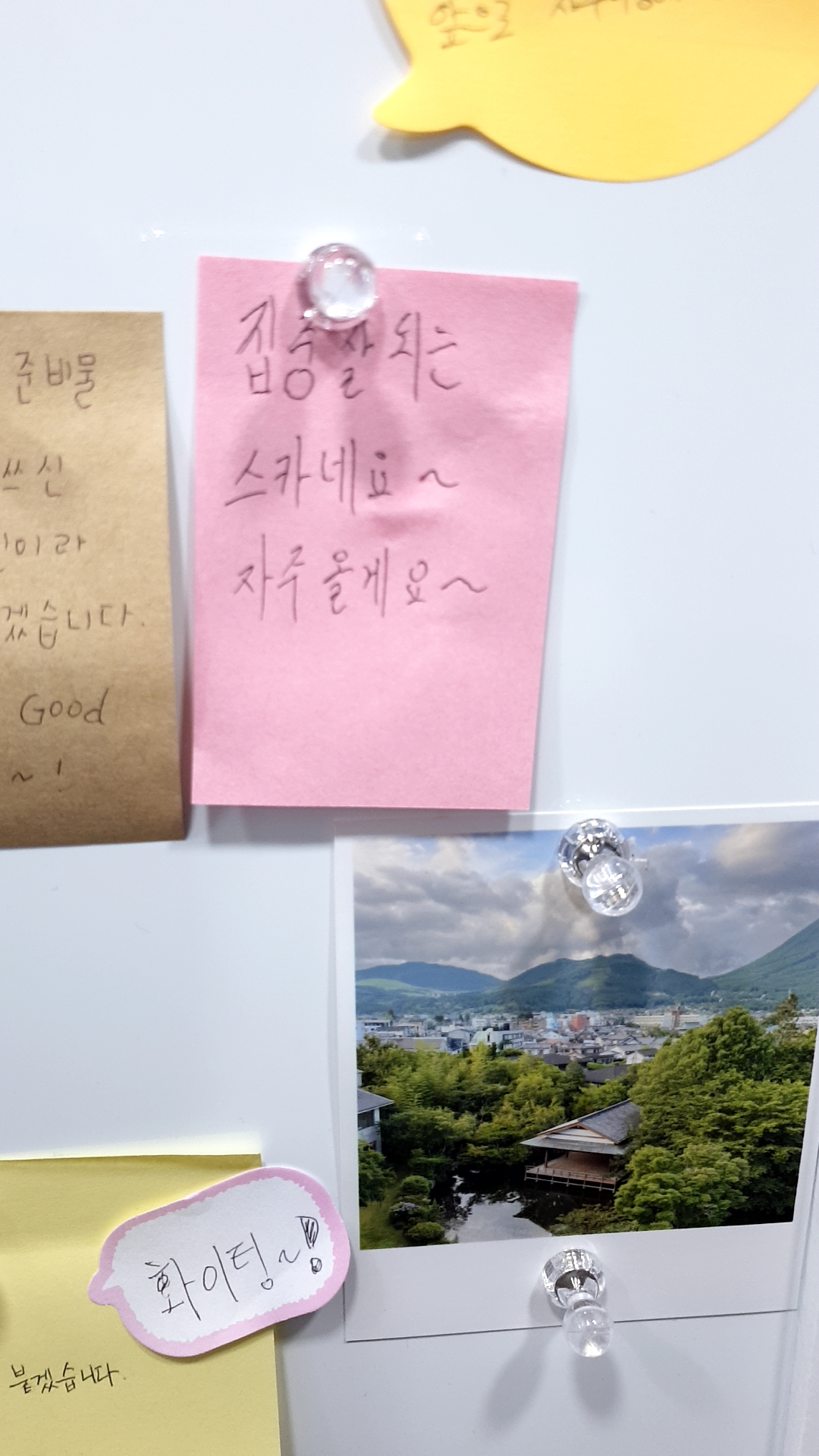 업체사진
