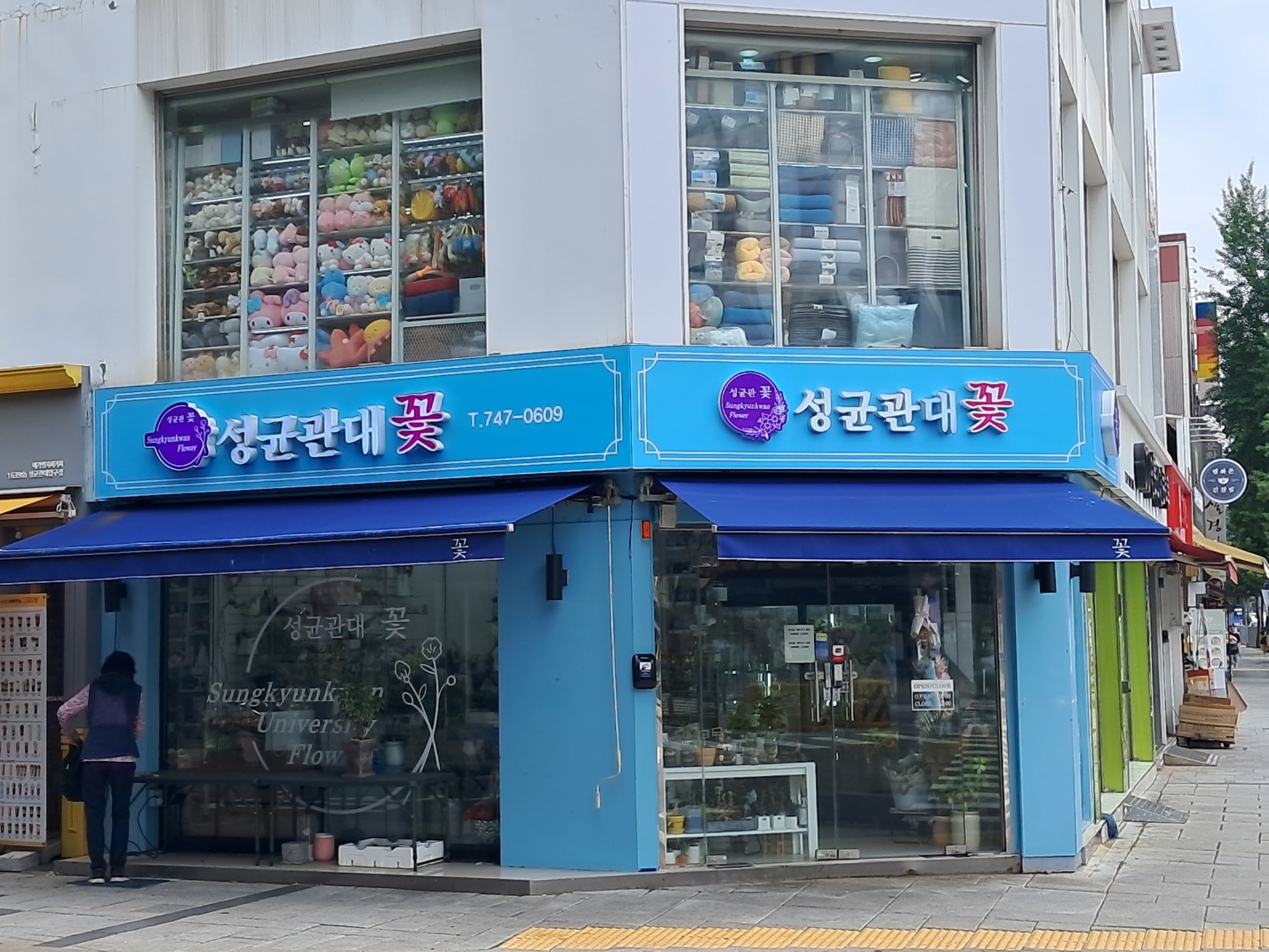 성균관꽃 & 요커 성균관대점