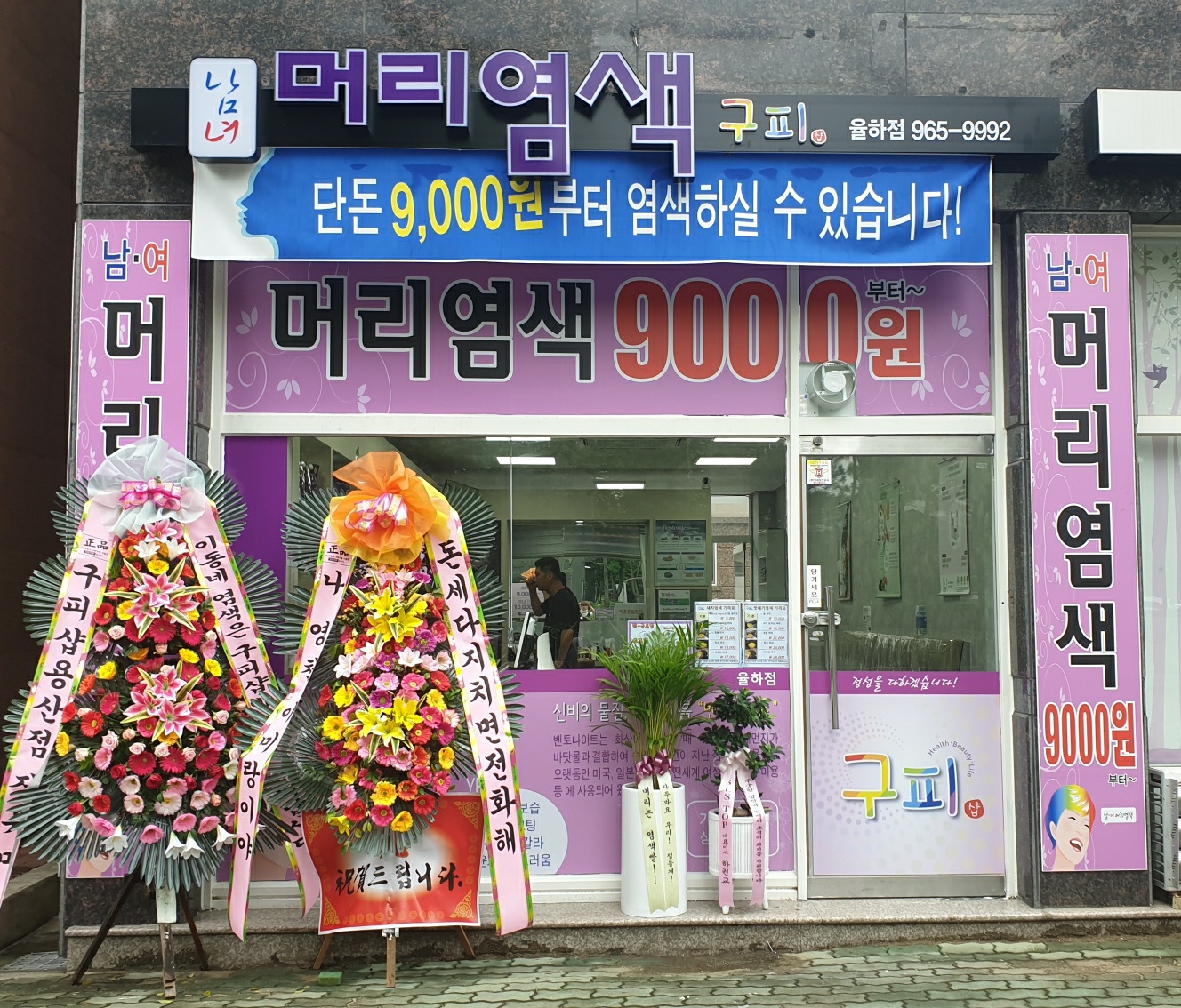 구피샵 대구율하점