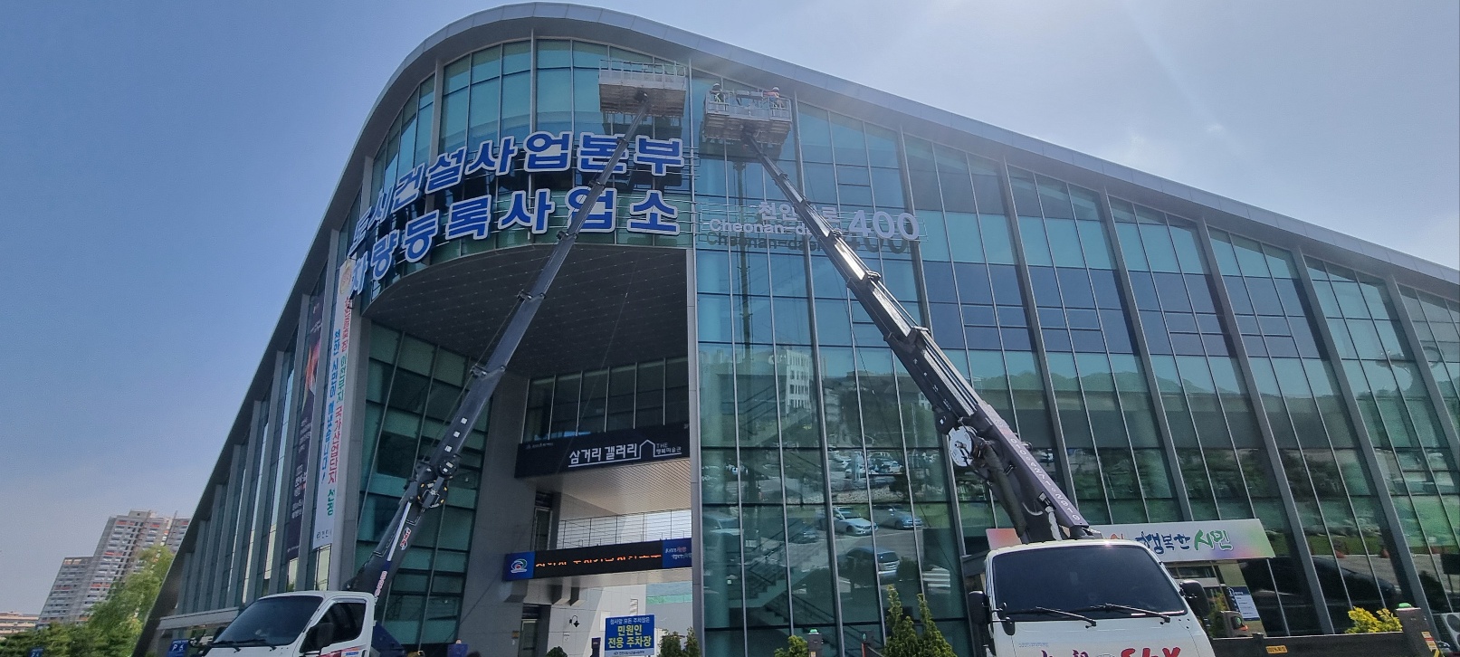 늘푸른
