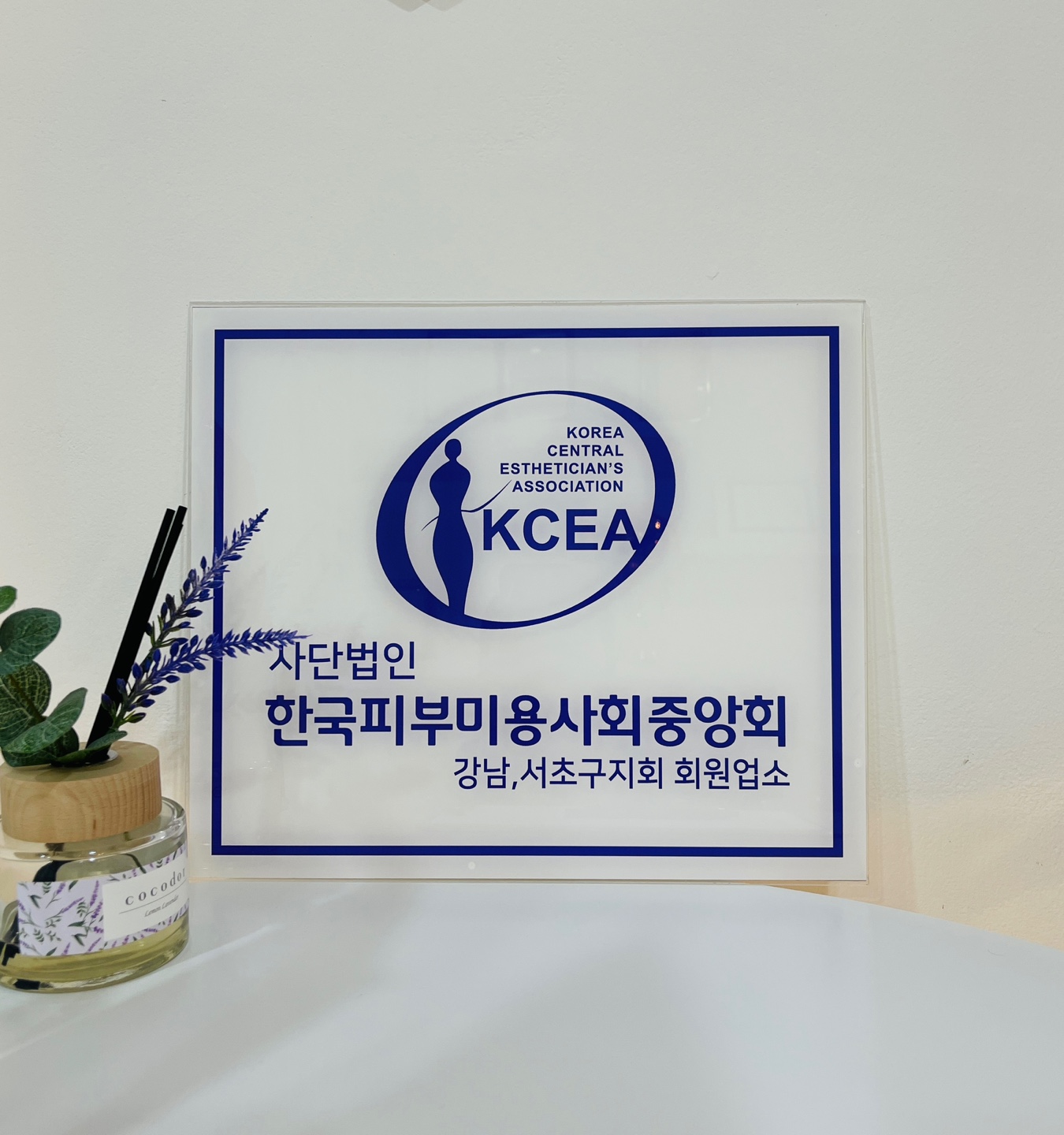 뷰티의정석 대표 이미지