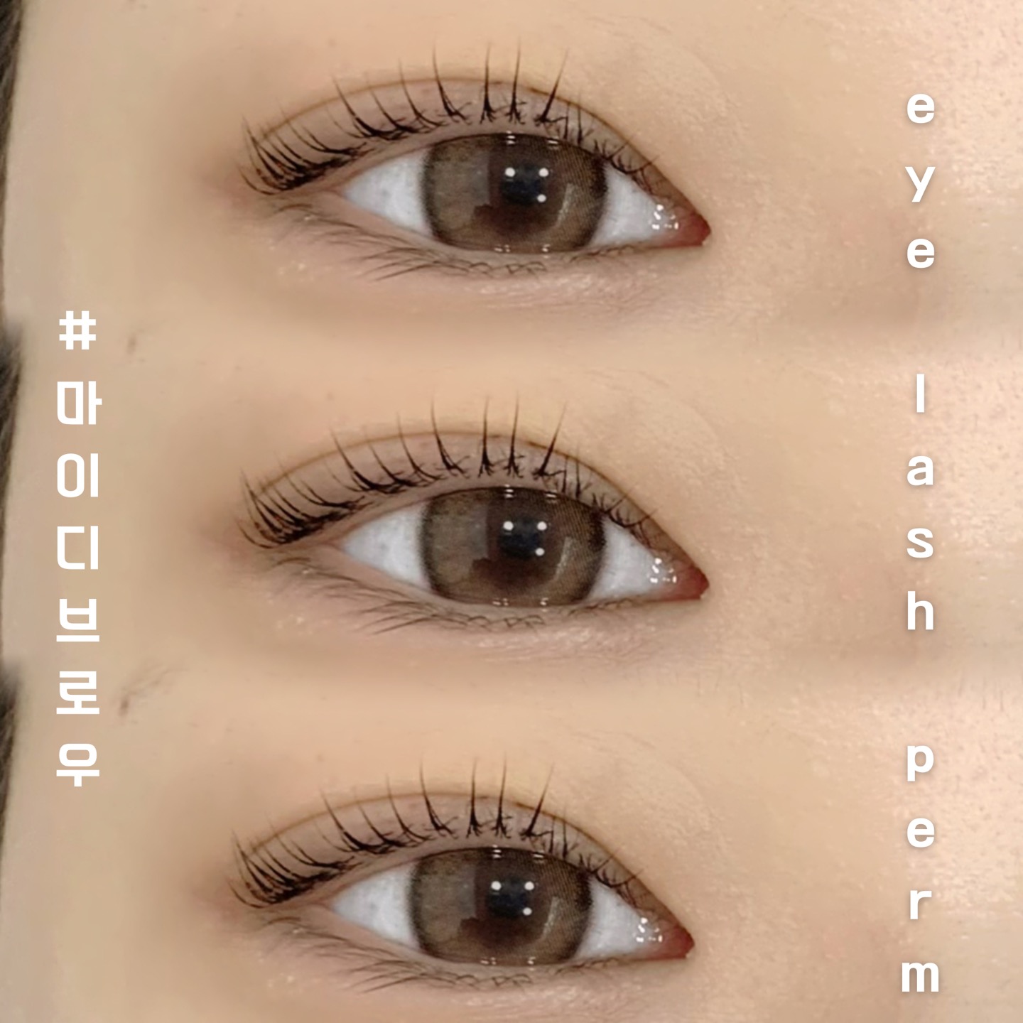 마이디브로우 의정부본점