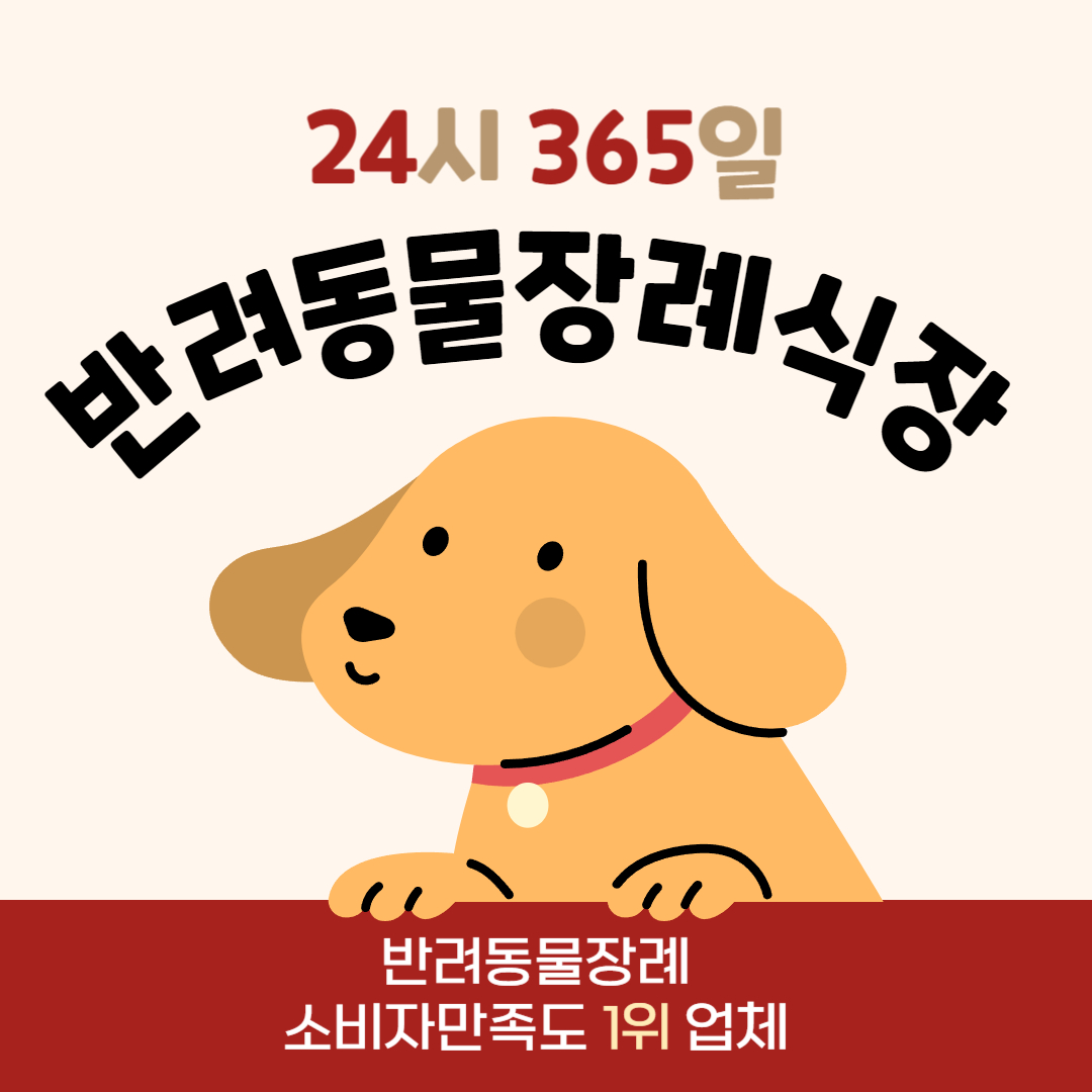 어게인
