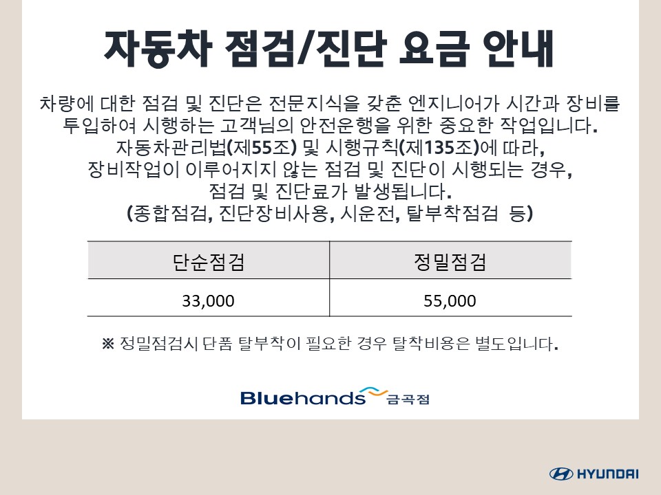 현대자동차 블루핸즈 금곡점
