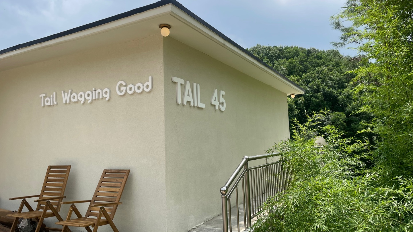 테일45 애견운동장 대표 이미지