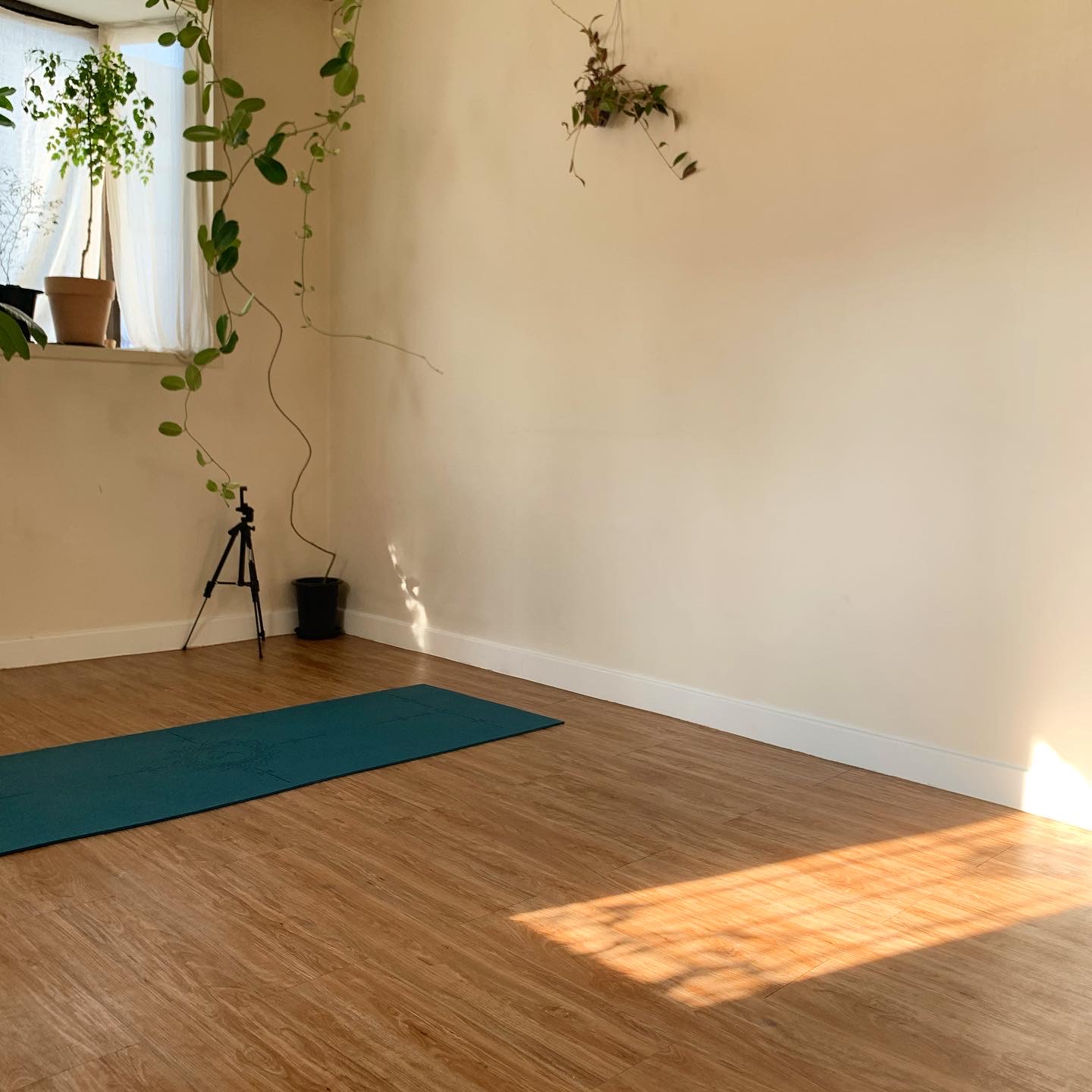 소월 마인드풀 요가 대표 이미지