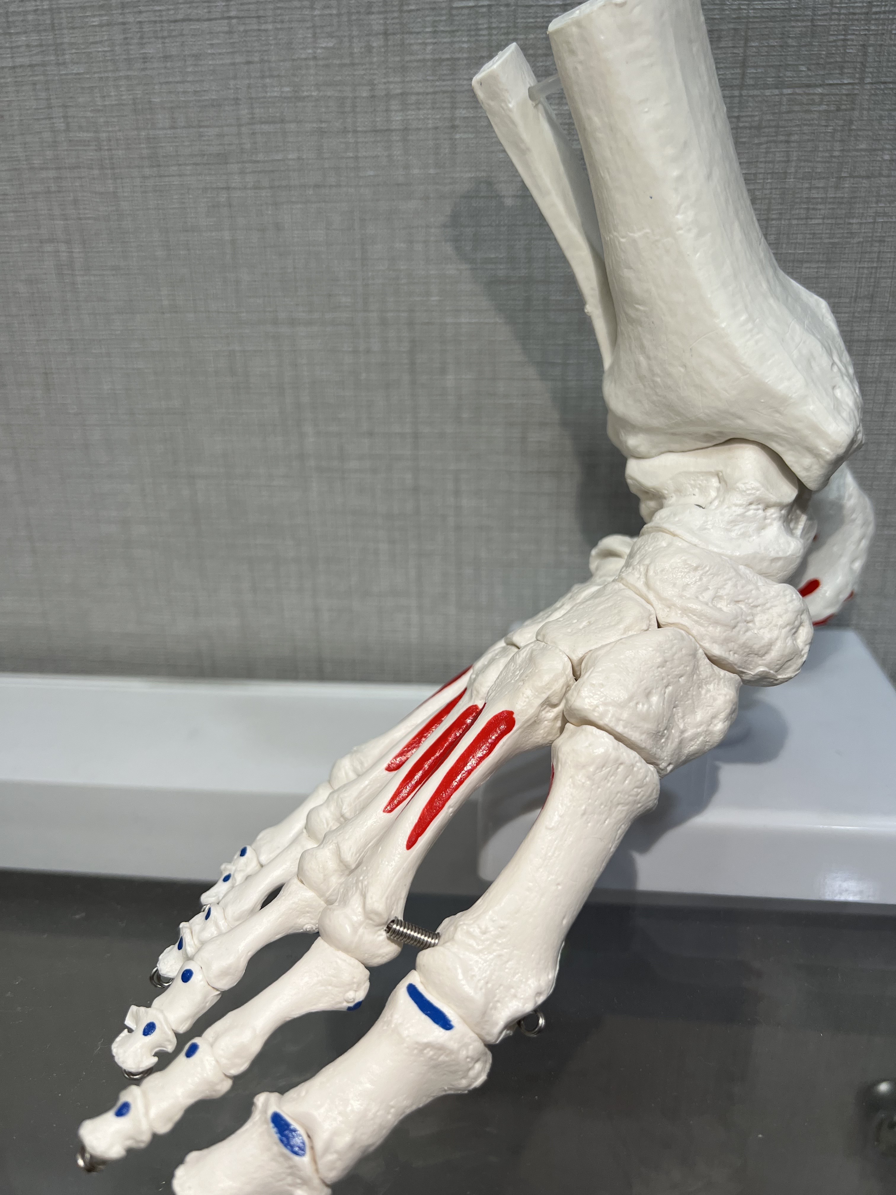 몸바로한의원 동탄점 대표 이미지