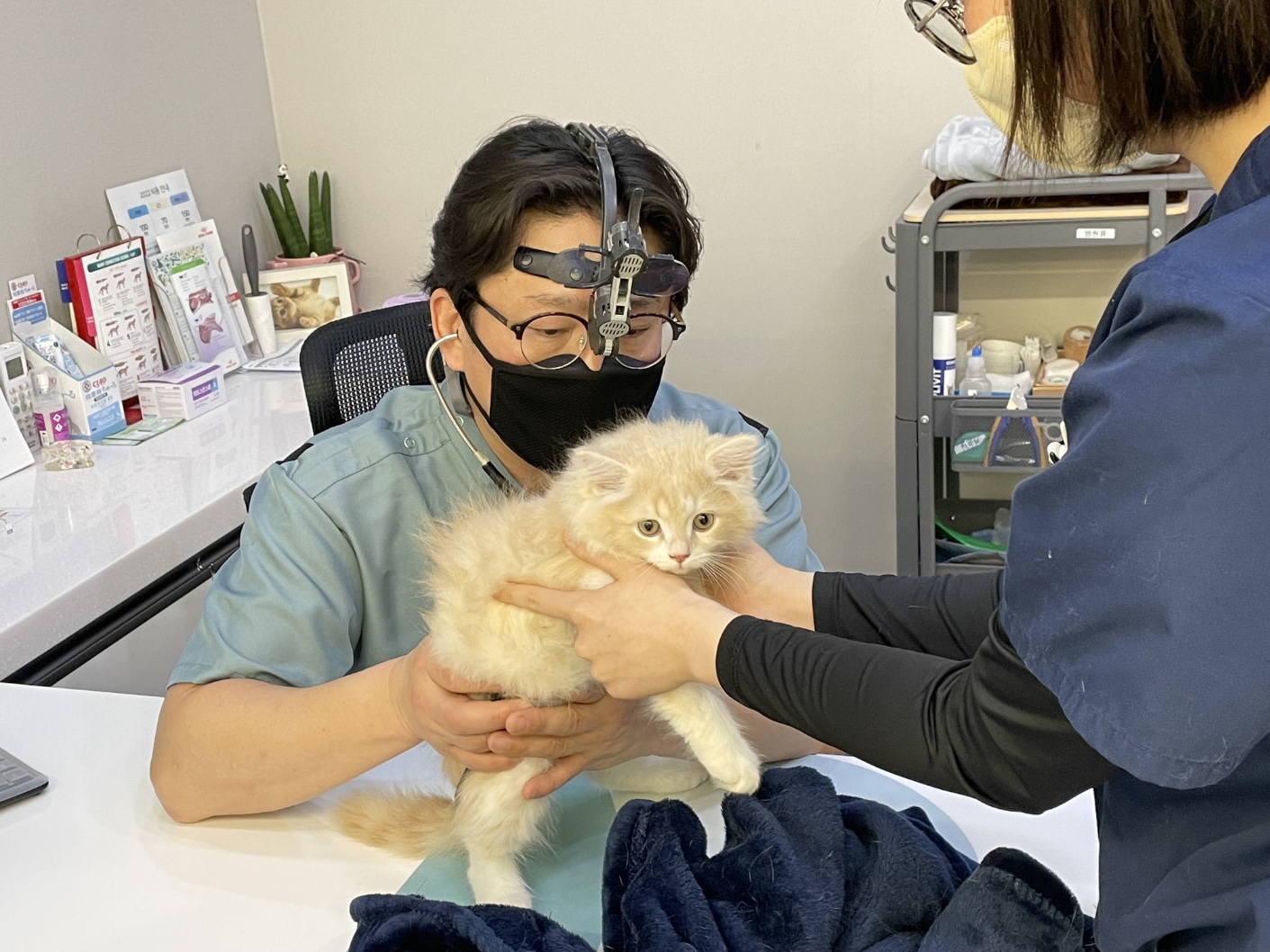 수동물병원 이미지