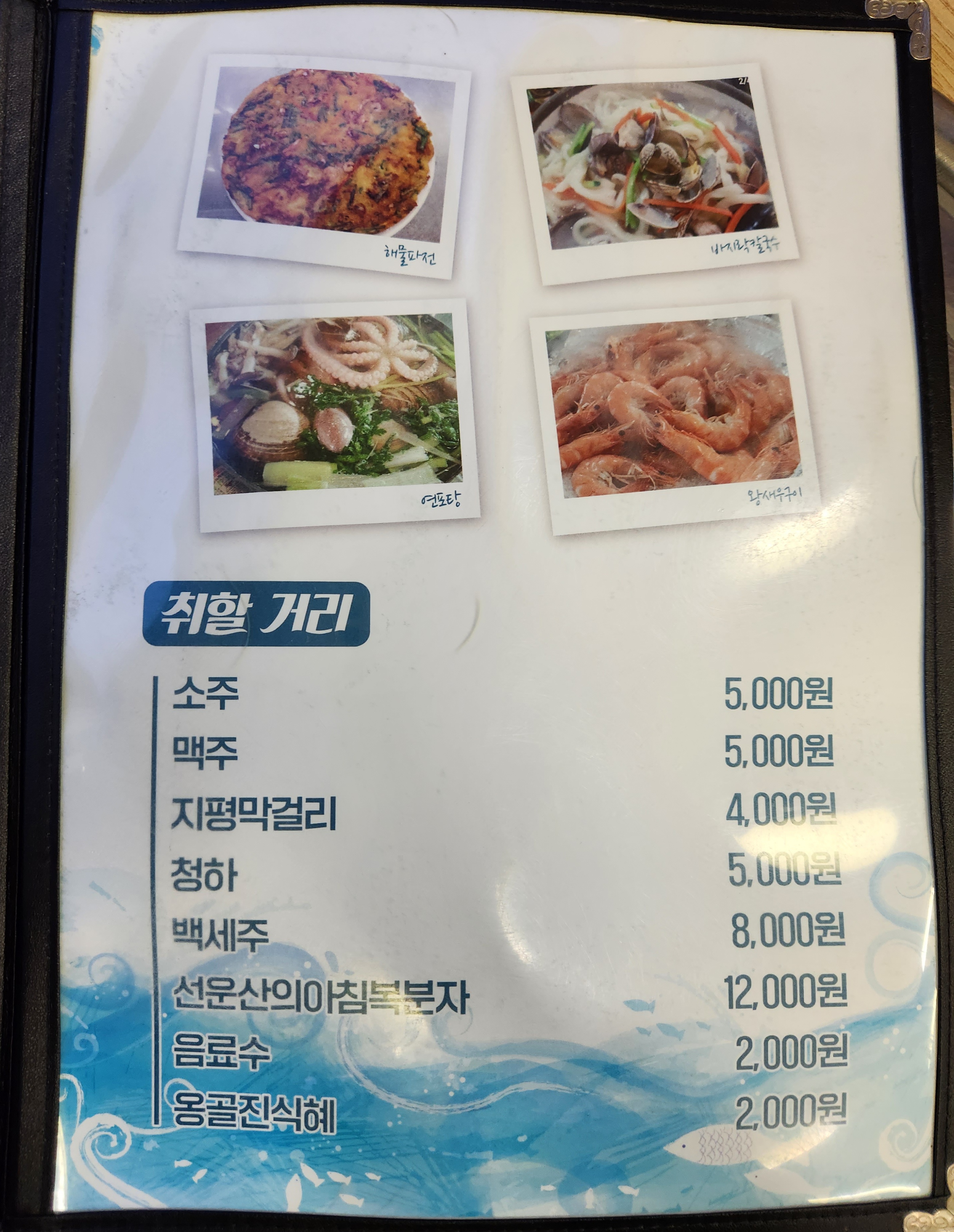탄도칼국수