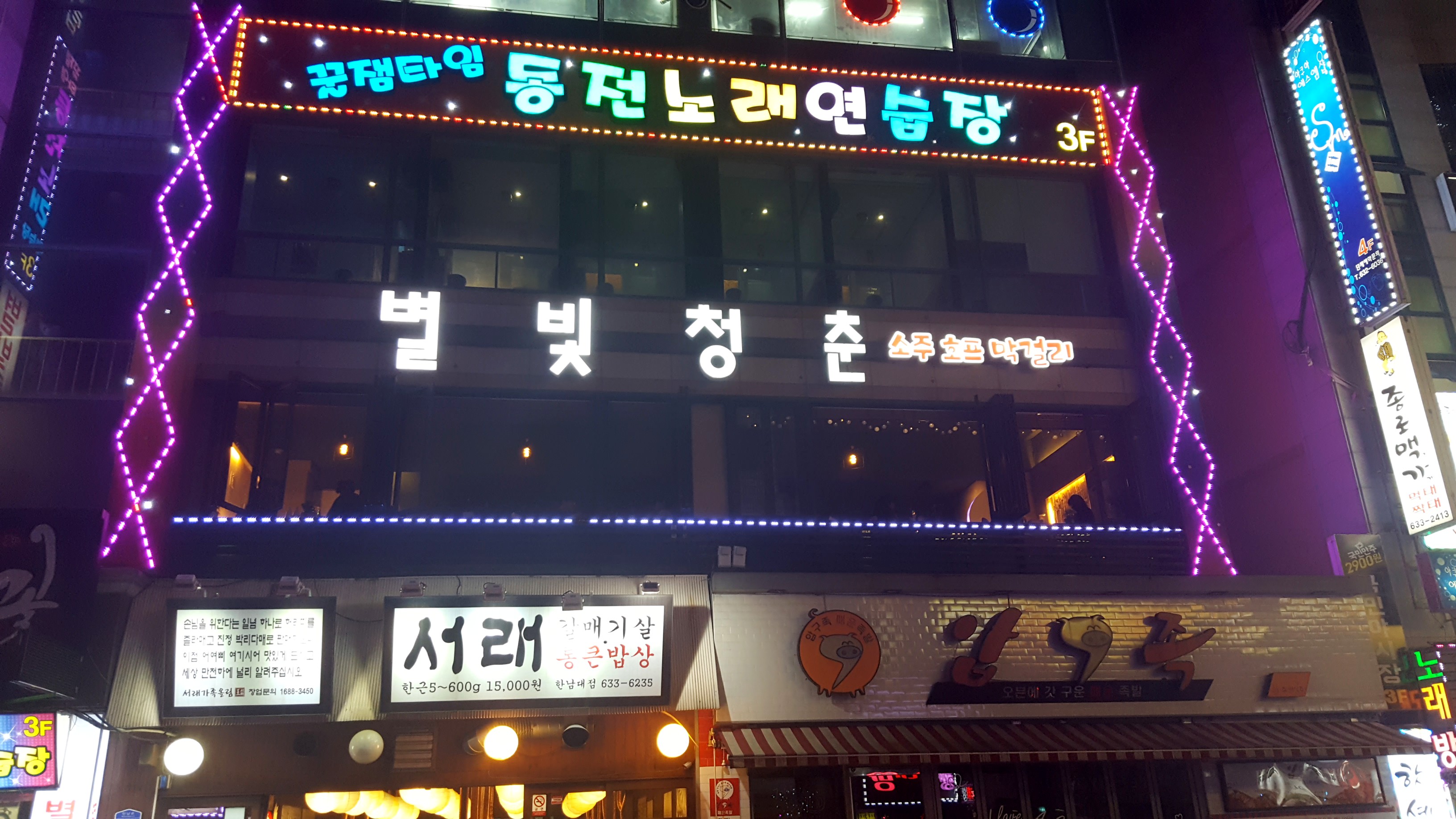 별빛청춘