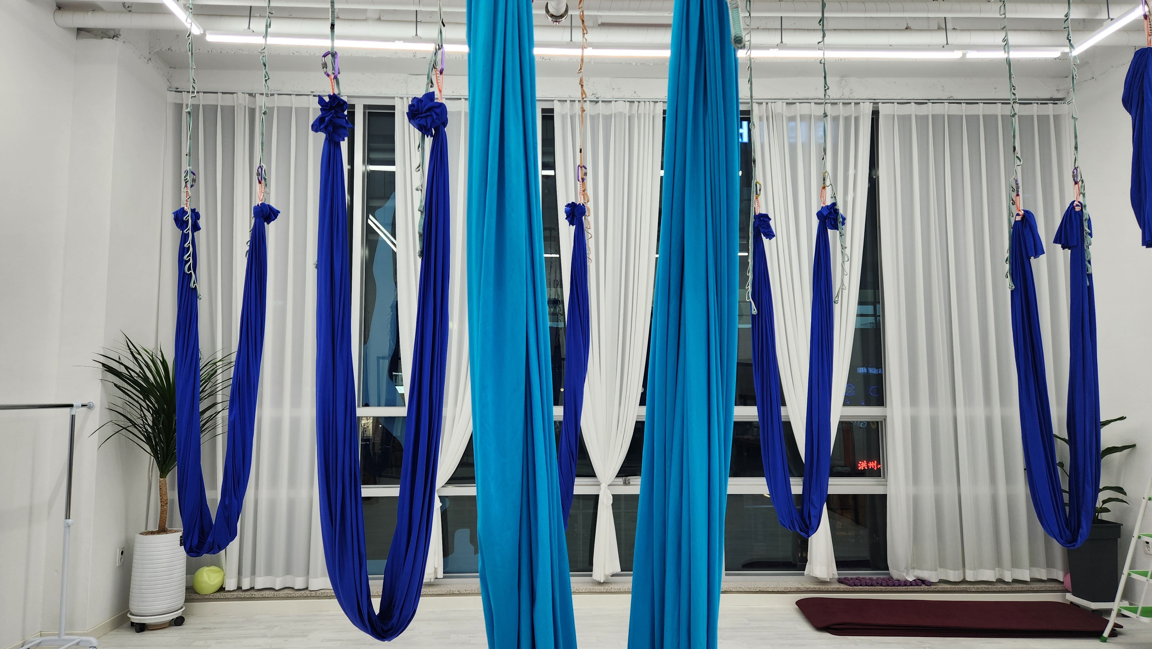 아르떼필라테스 대표 이미지