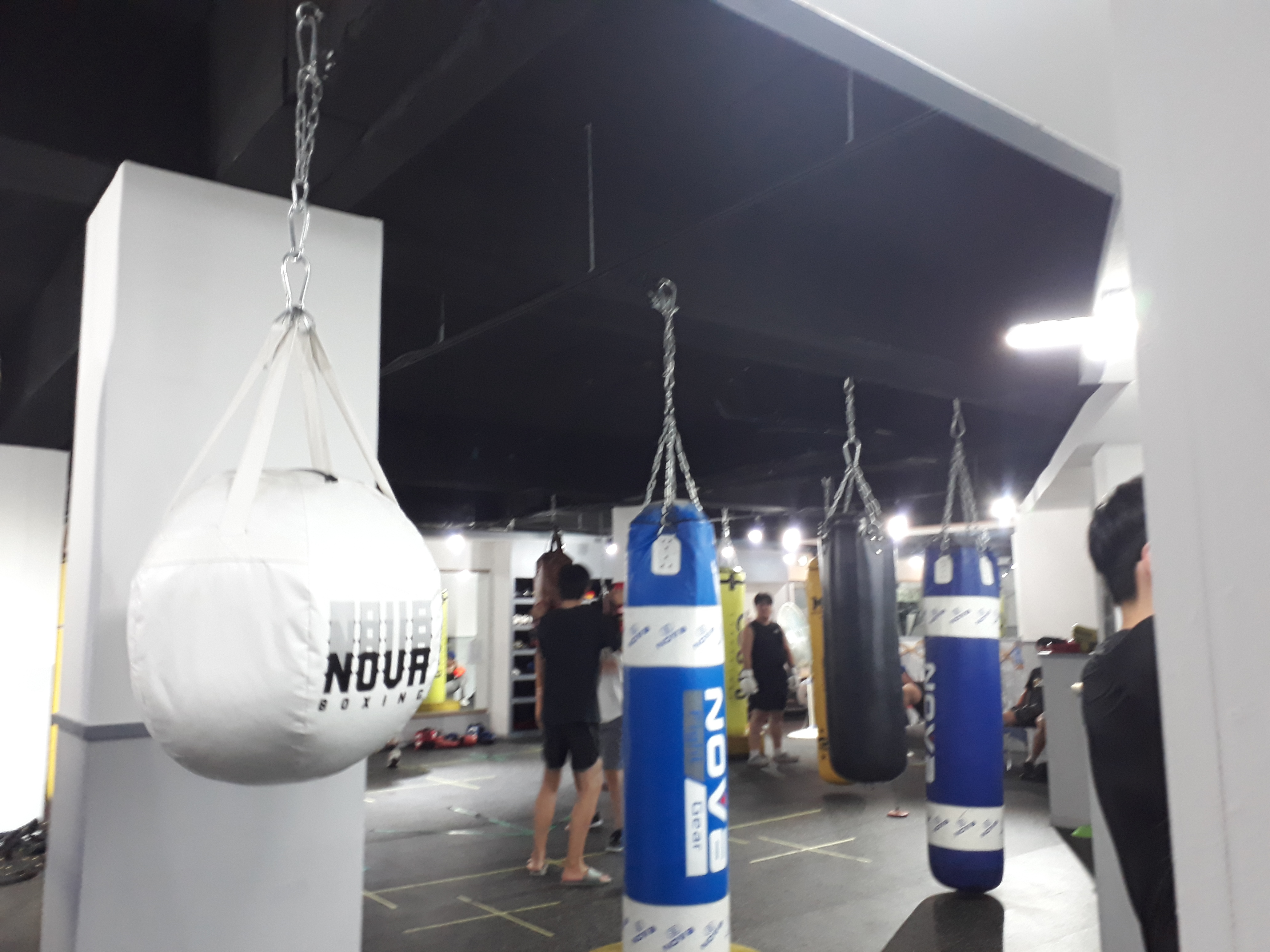 팀월드클래스 대표 이미지