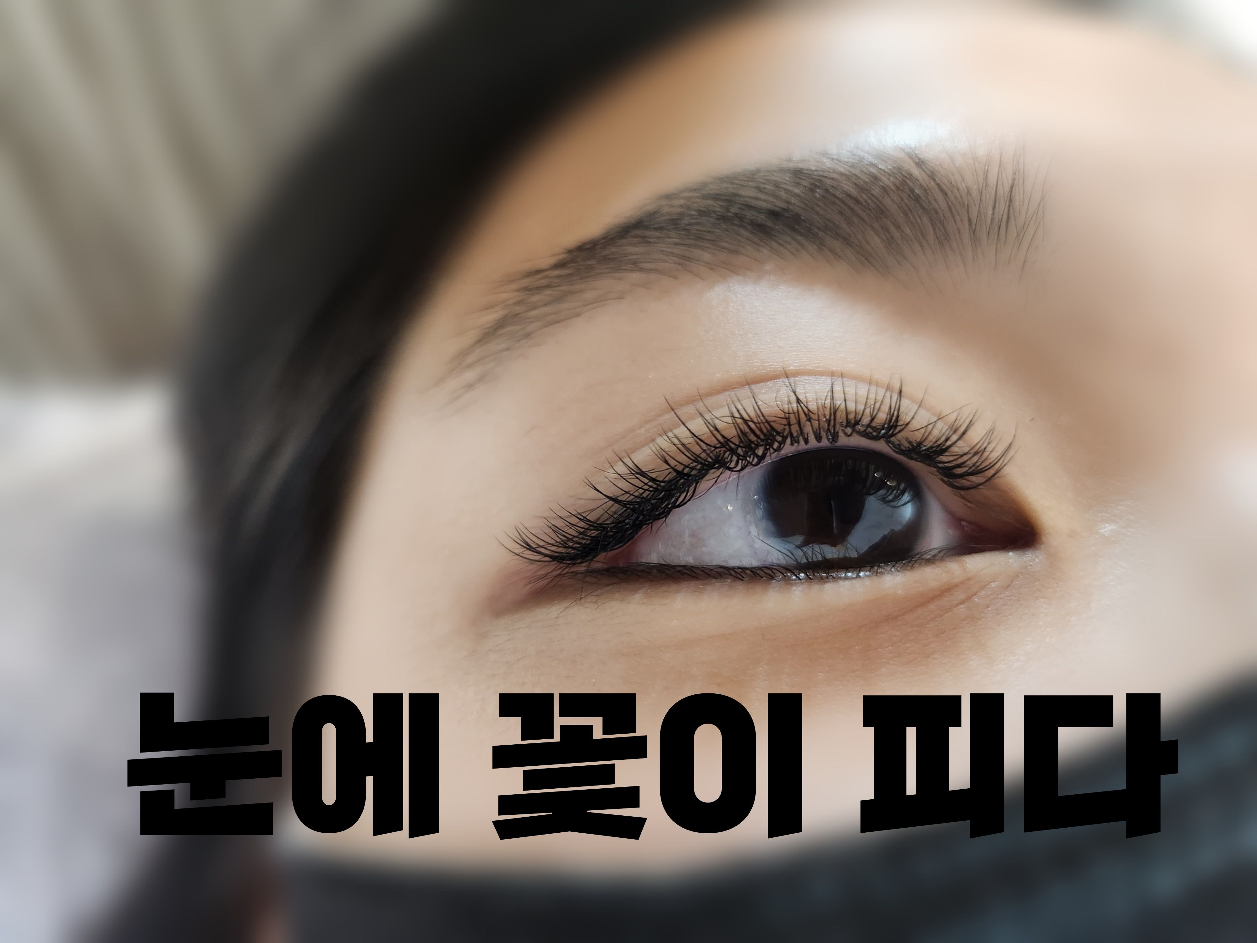 눈에꽃이피다