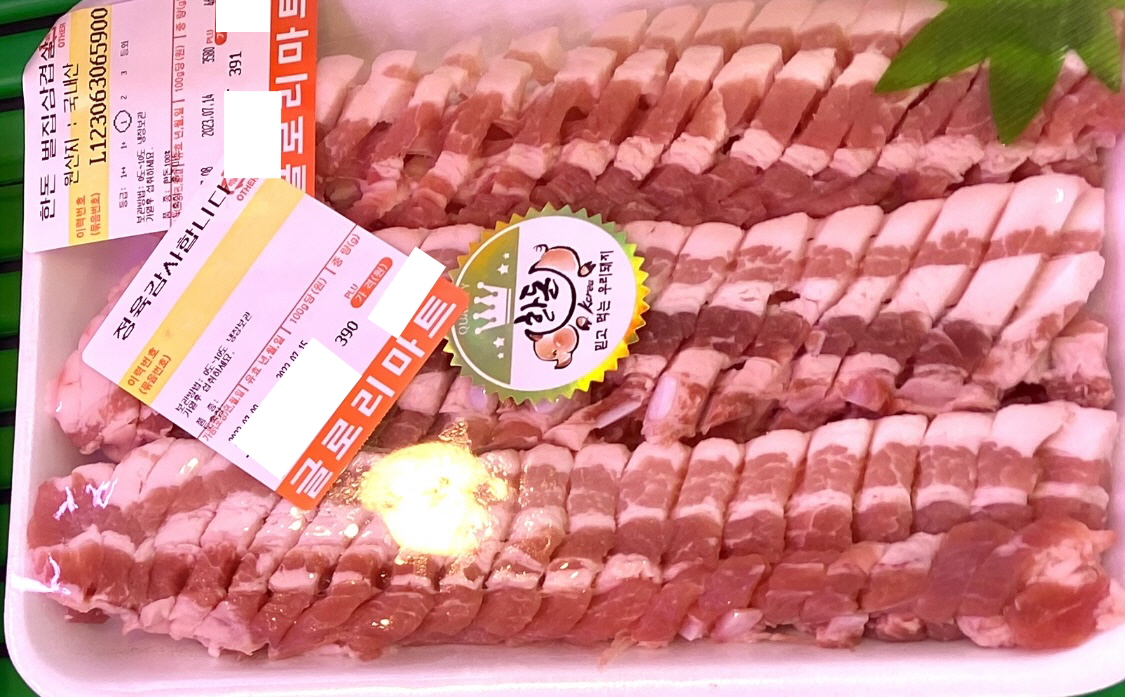 싱싱고기