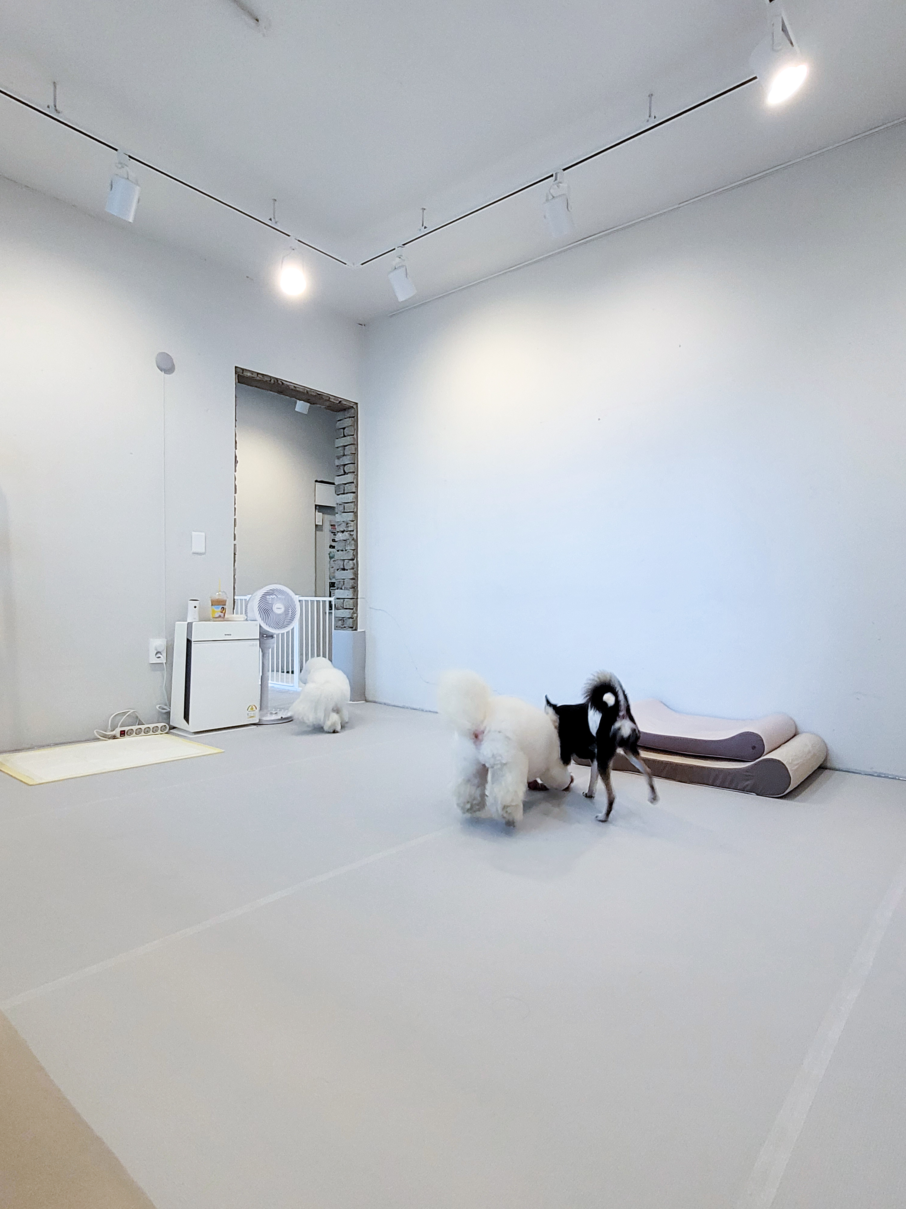 성수퍼피 대표 이미지