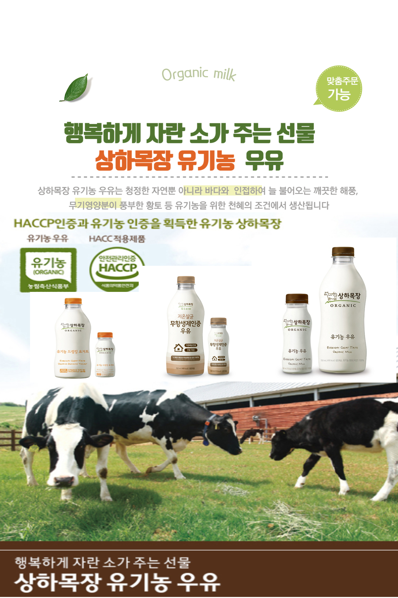 연세우유 강릉대리점