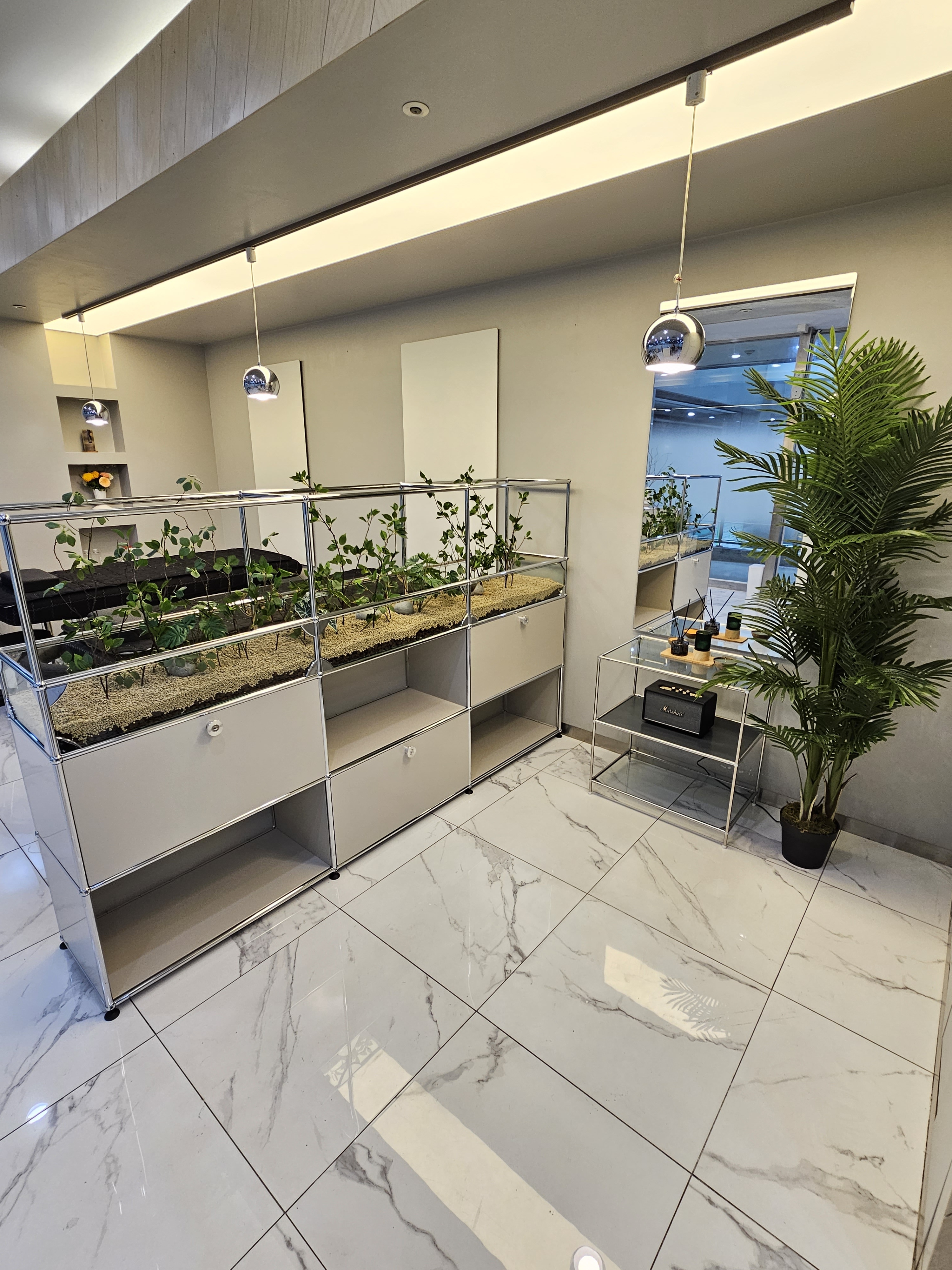 드니엘래쉬 대표 이미지