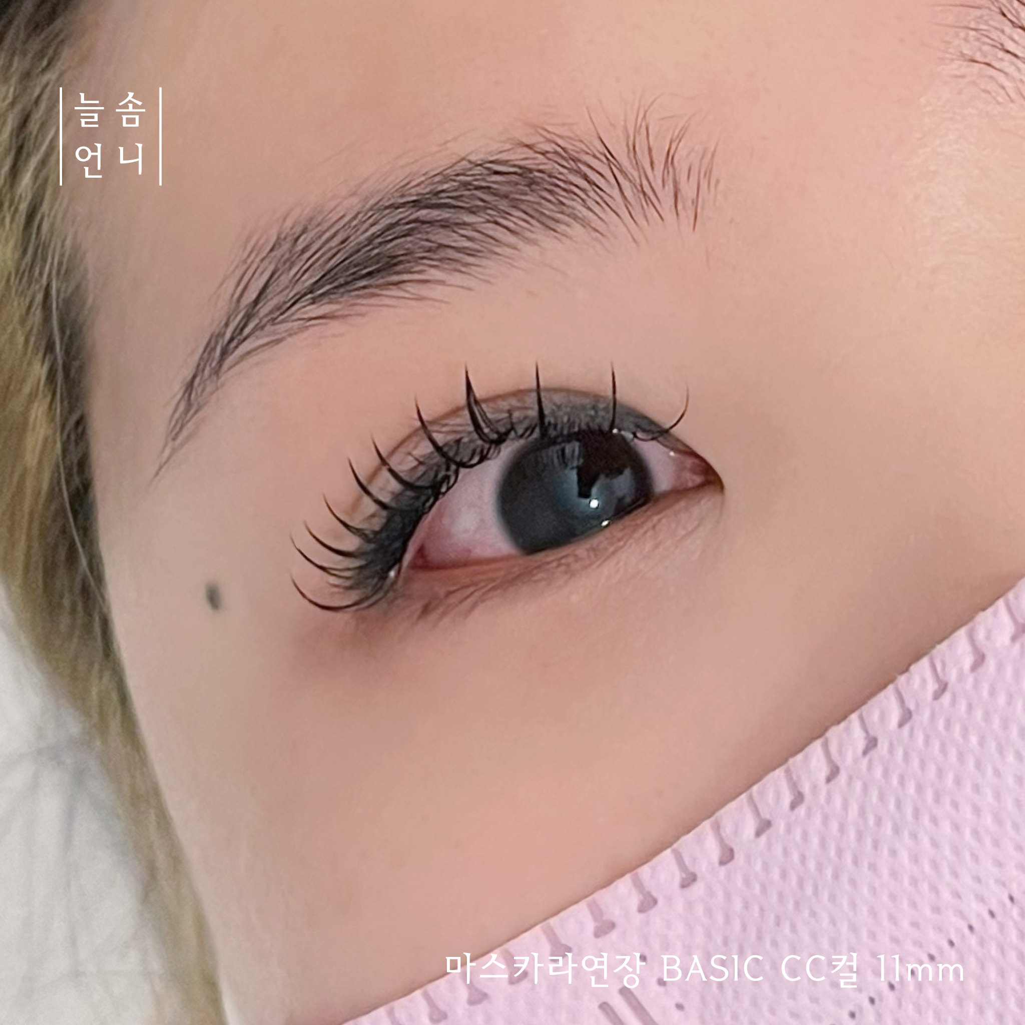 늘솜언니